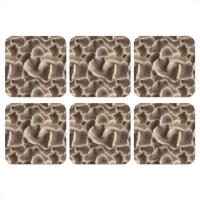 Waaiervorm - Beige - Vezel textuur onderzetter kurk middel 366 -3d