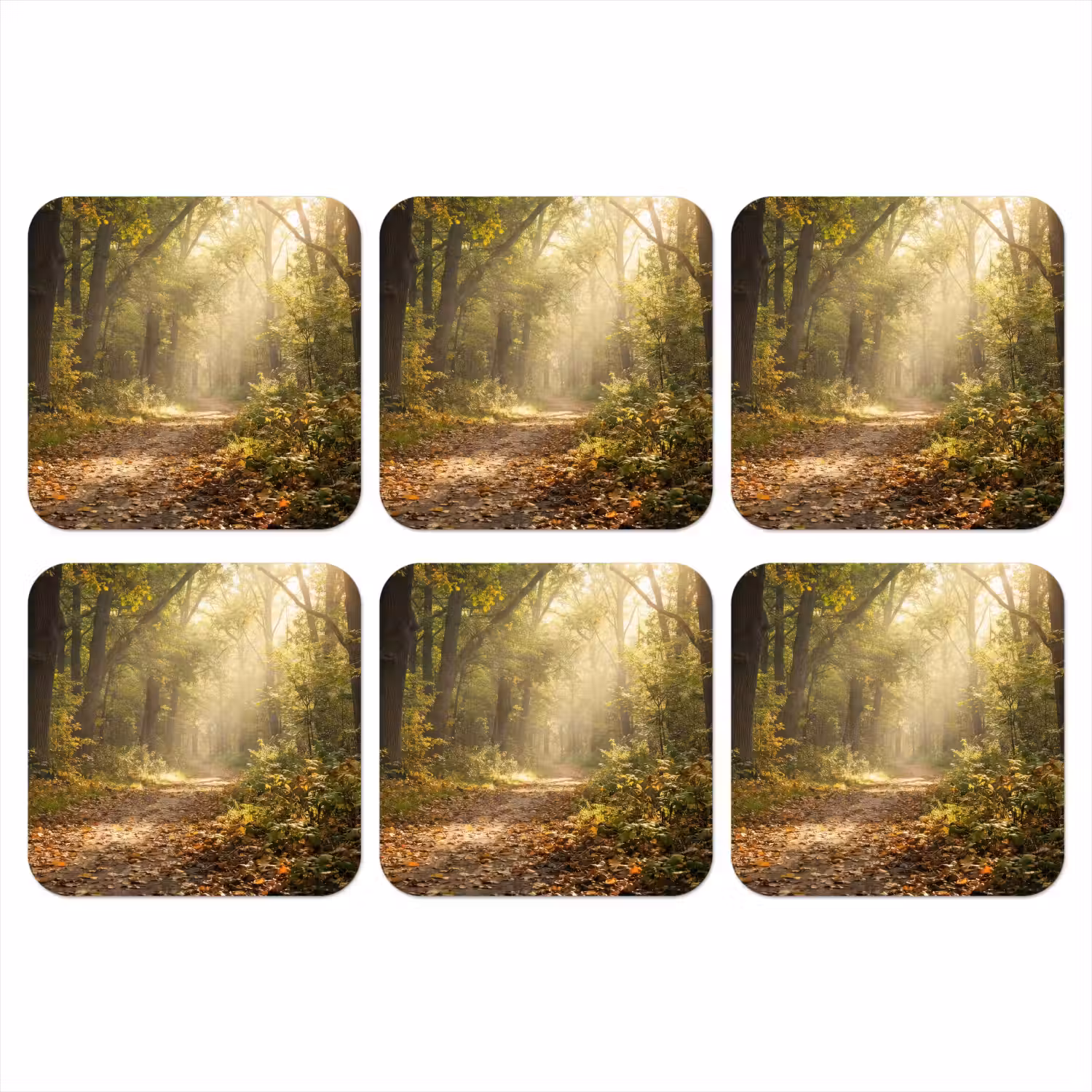 Zonlicht - Bospad - Bomen onderzetter kurk middel -3d