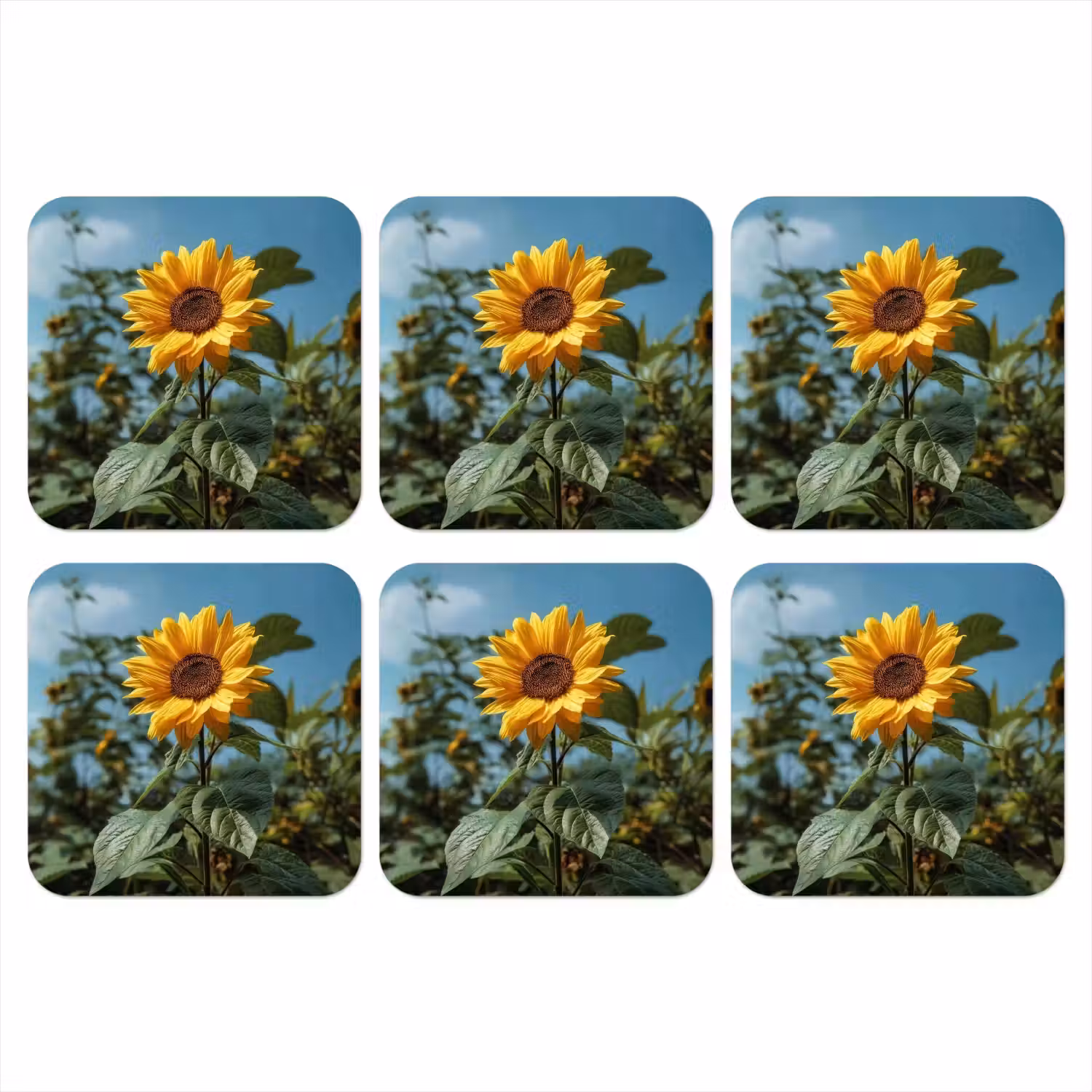 Zonnebloemen - Helderblauwer lucht - Gras onderzetter kurk middel -3d