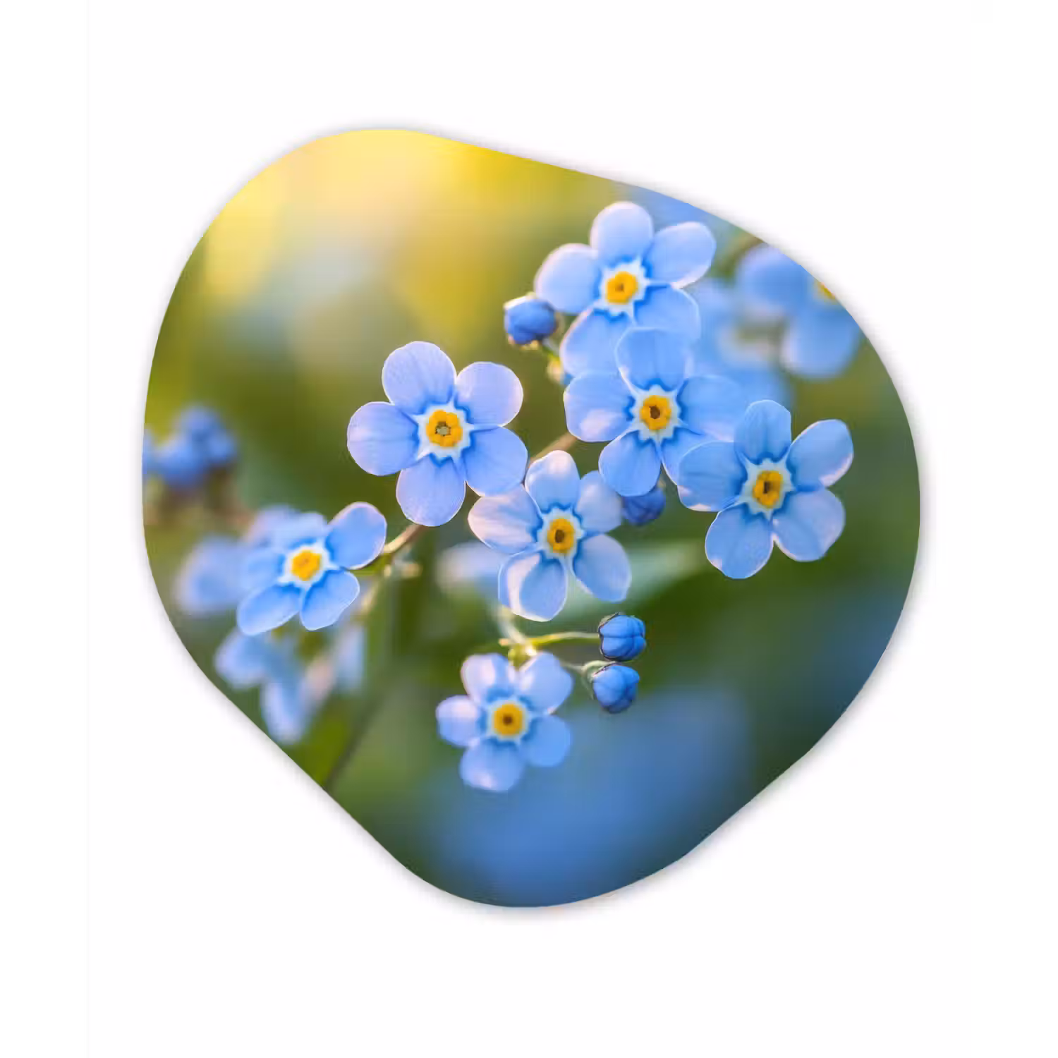 Bloemetjes - Blauw - Vergeet mij nietjes Wandcirkel Organisch Aluminium middel -3d