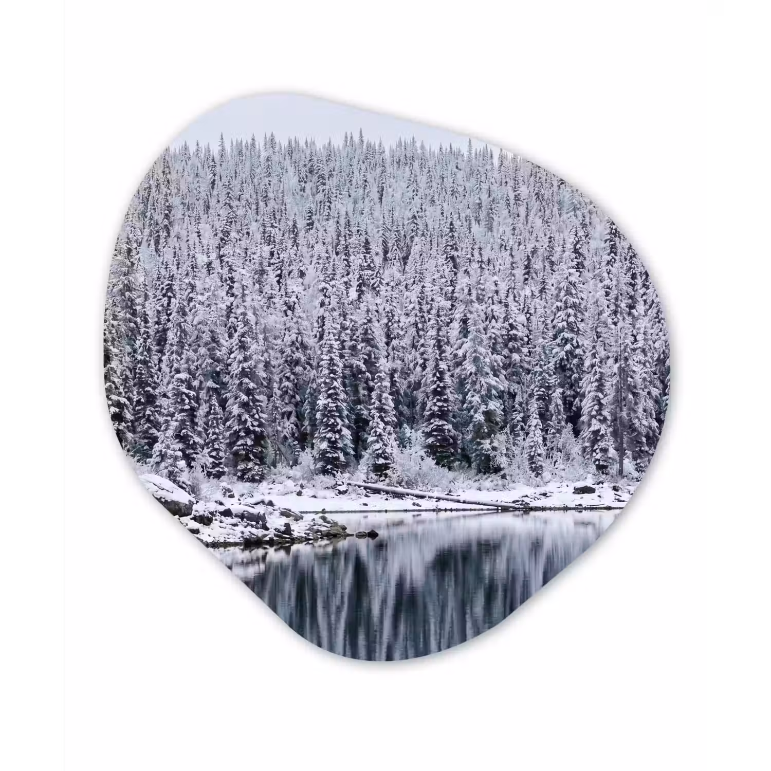 Bos - Reflectie - Meer - Winter - Serene Wandcirkel Organisch Aluminium middel -3d