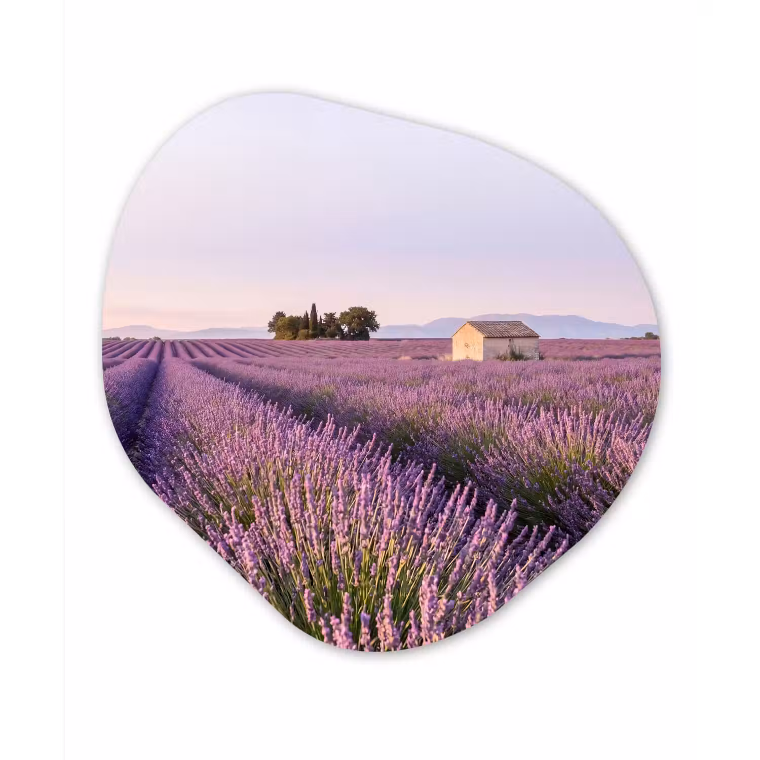 Lavendel - Landschap - Sereen - Paars Wandcirkel Organisch Aluminium middel -3d