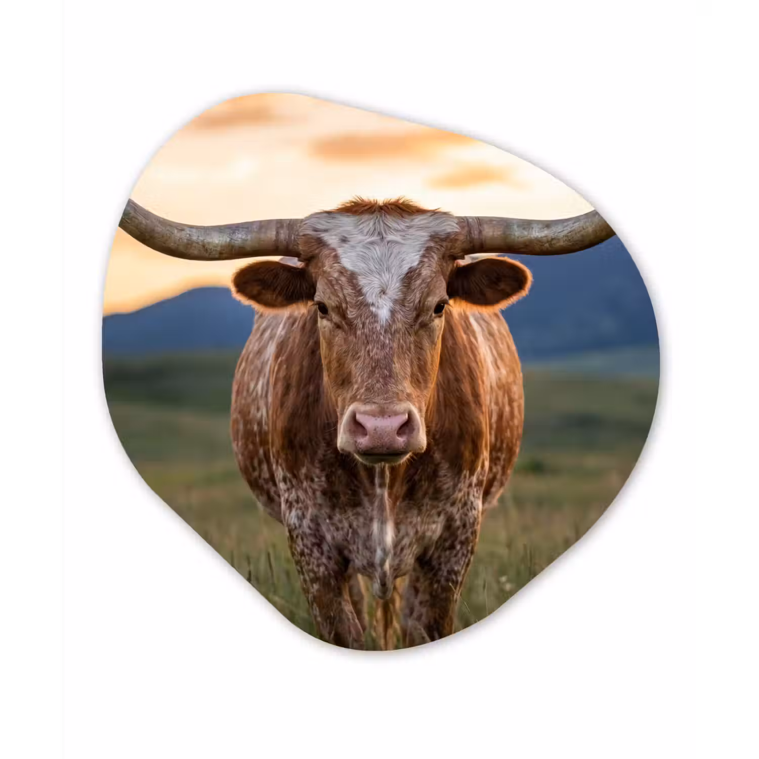 Longhorn - Landschap - Zonsondergang Wandcirkel Organisch Aluminium middel -3d