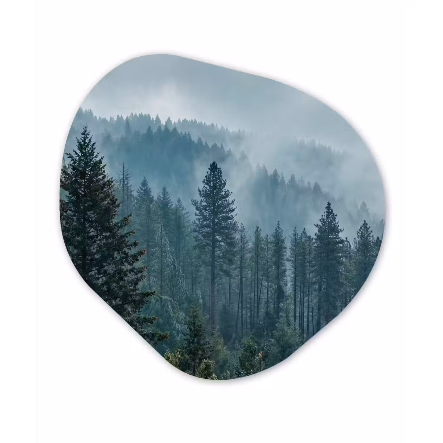 Naaldwoud - Bergen - Mist Wandcirkel Organisch Aluminium middel -3d