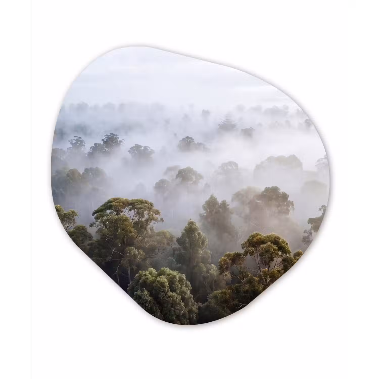 Natuur - Mist - Bos - Ochtend - Goud Wandcirkel Organisch Aluminium middel -3d