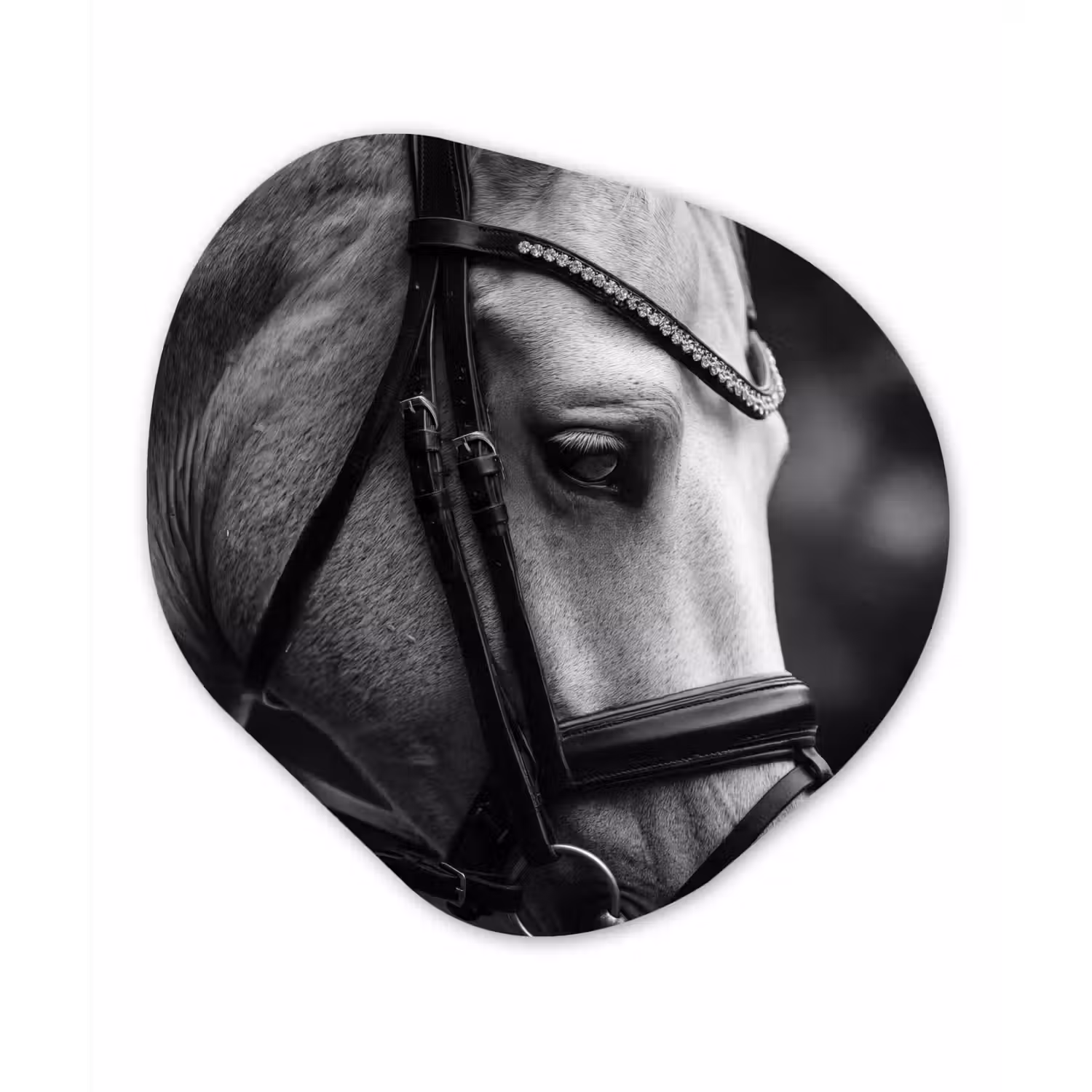 Paard - Schimmel - Portret Wandcirkel Organisch Aluminium middel -3d