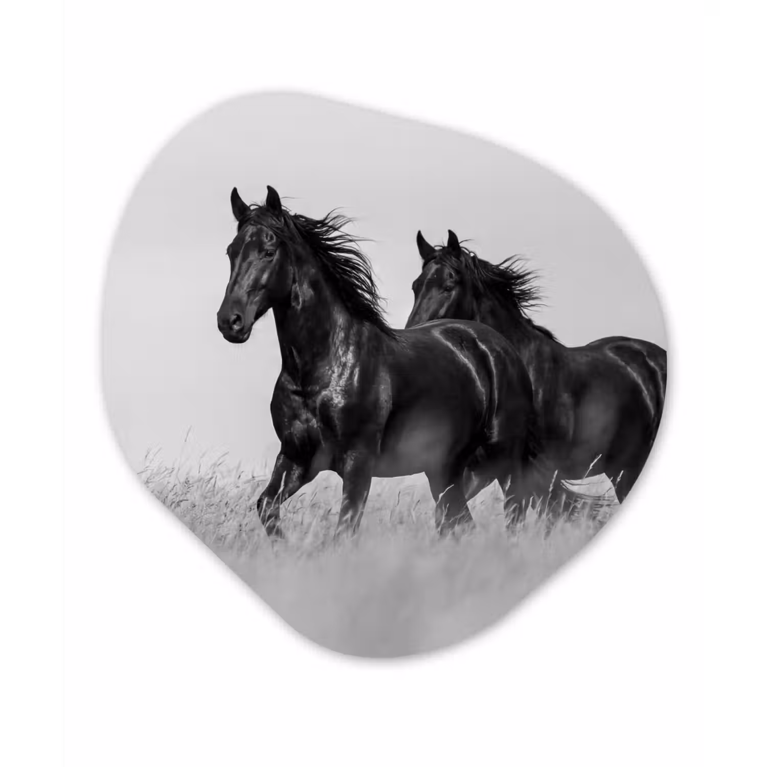 Paarden - Gras - Zwart - Wit Wandcirkel Organisch Aluminium middel -3d
