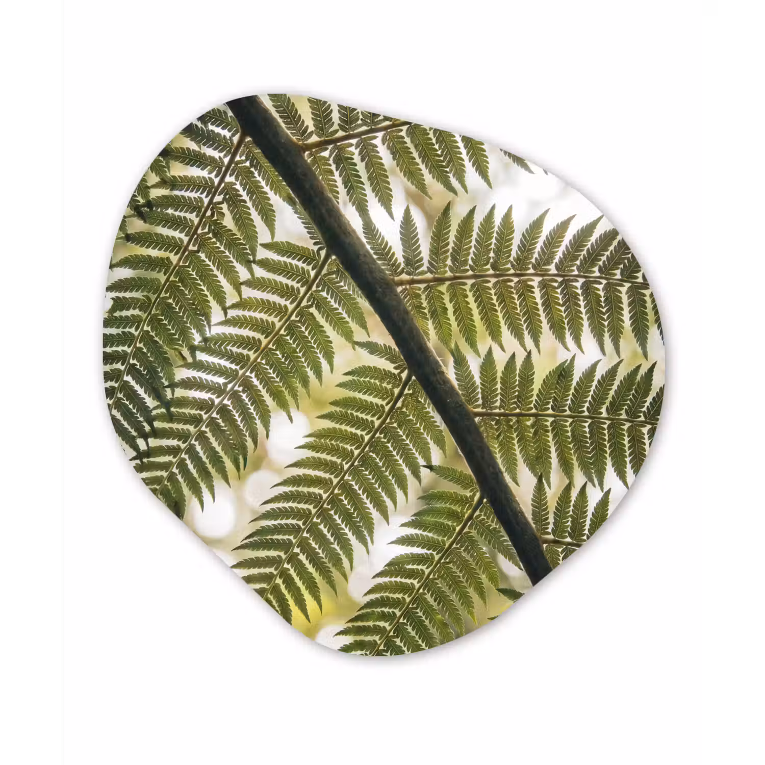 Plant - Blad - Natuur - Groen - Detail Wandcirkel Organisch Aluminium middel -3d