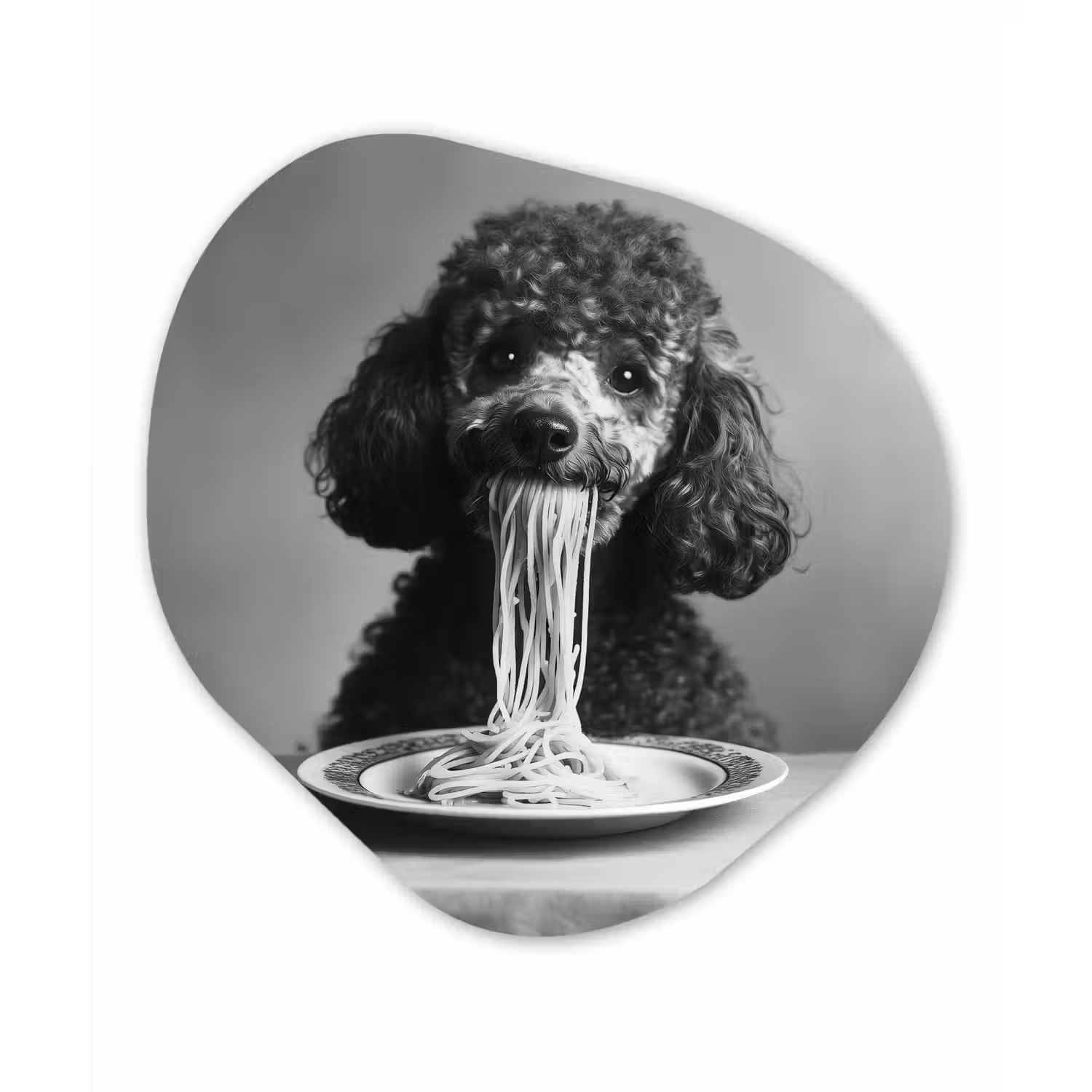 Poedel - Hond - Zwart - Wit - Schattig - Pasta Wandcirkel Organisch Aluminium middel -3d