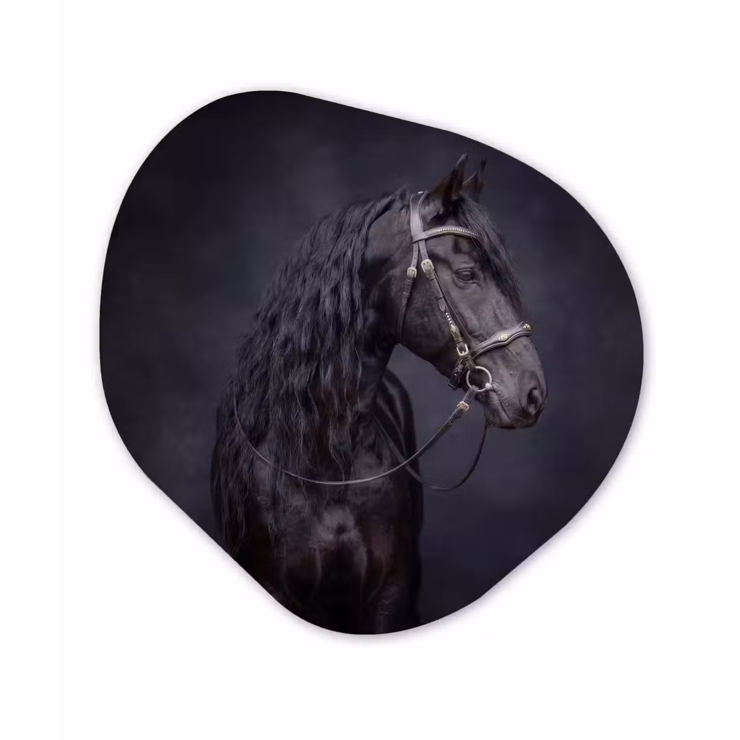 Portret - Paard - Donker Wandcirkel Organisch Aluminium middel -3d