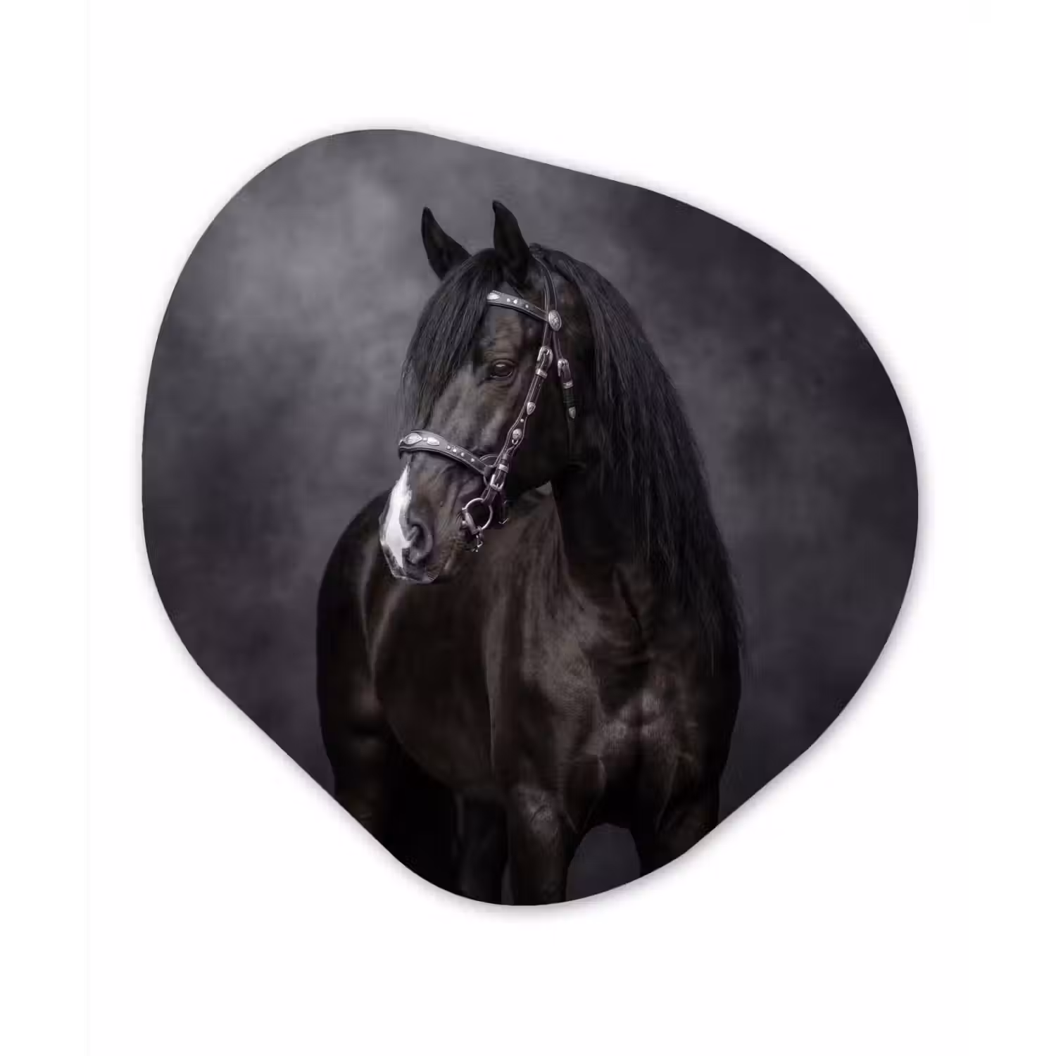 Portret - Paard - Zwart Wandcirkel Organisch Aluminium middel -3d