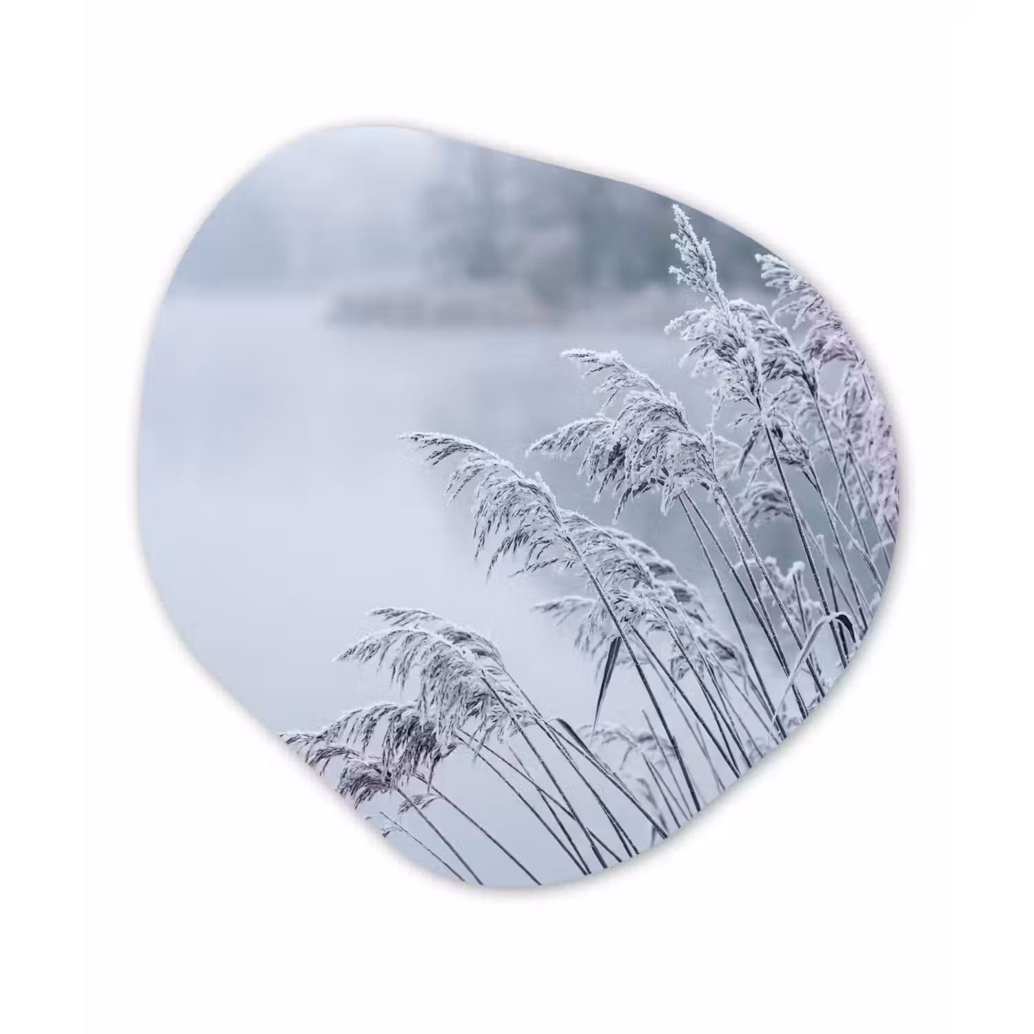 Riet - Bevroren - Winter - Natuur Wandcirkel Organisch Aluminium middel -3d