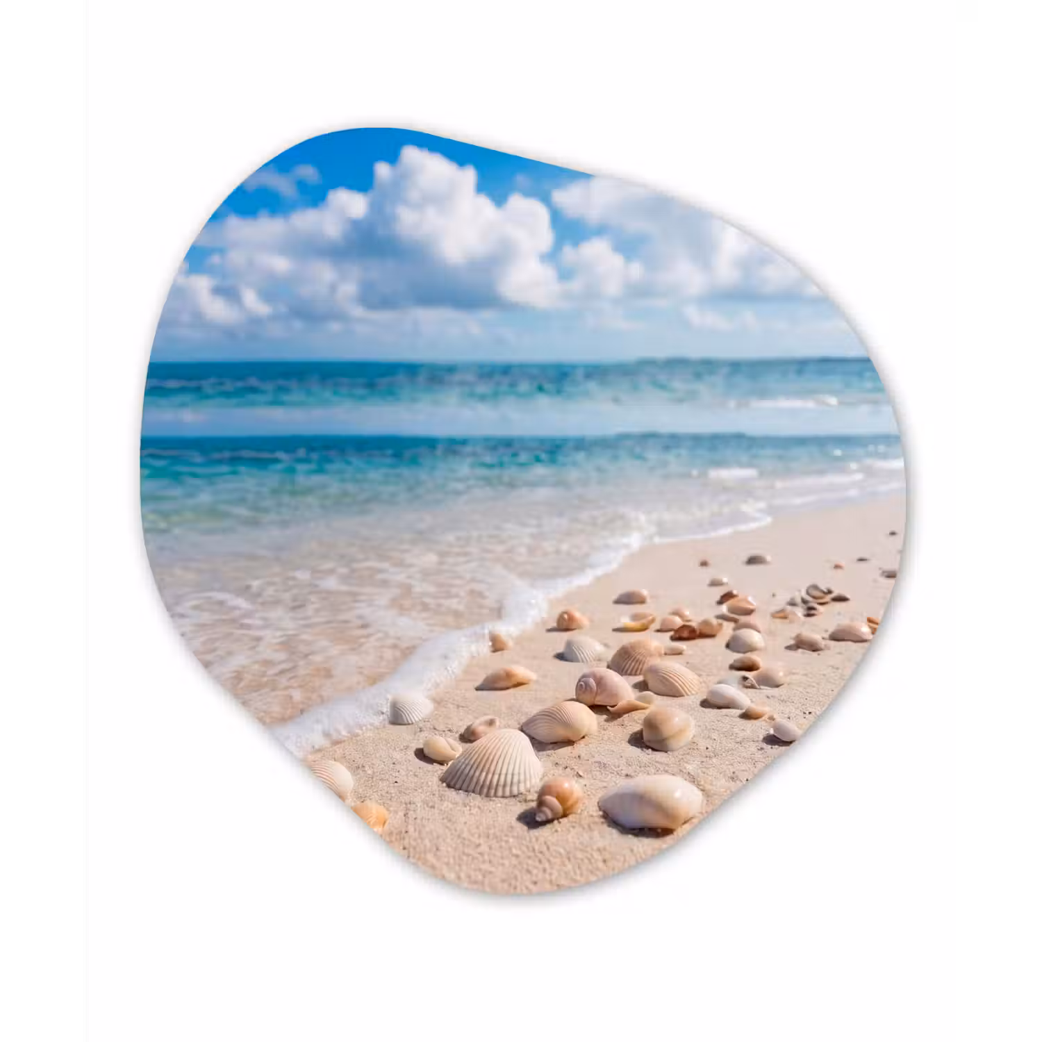 Schelpen - Strand - Natuur - Beige Wandcirkel Organisch Aluminium middel -3d