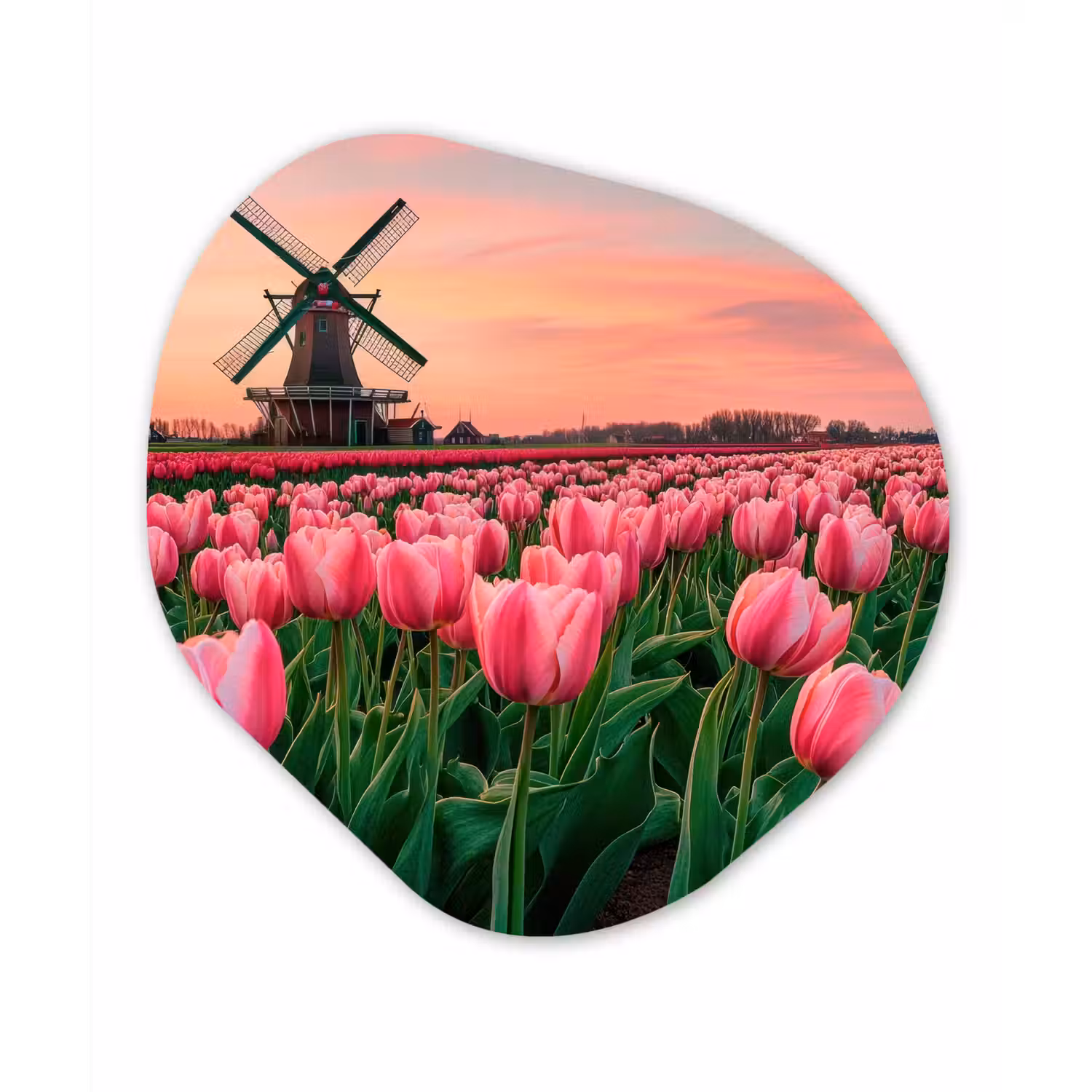 Tulpen - Molen - Nederland Wandcirkel Organisch Aluminium middel -3d
