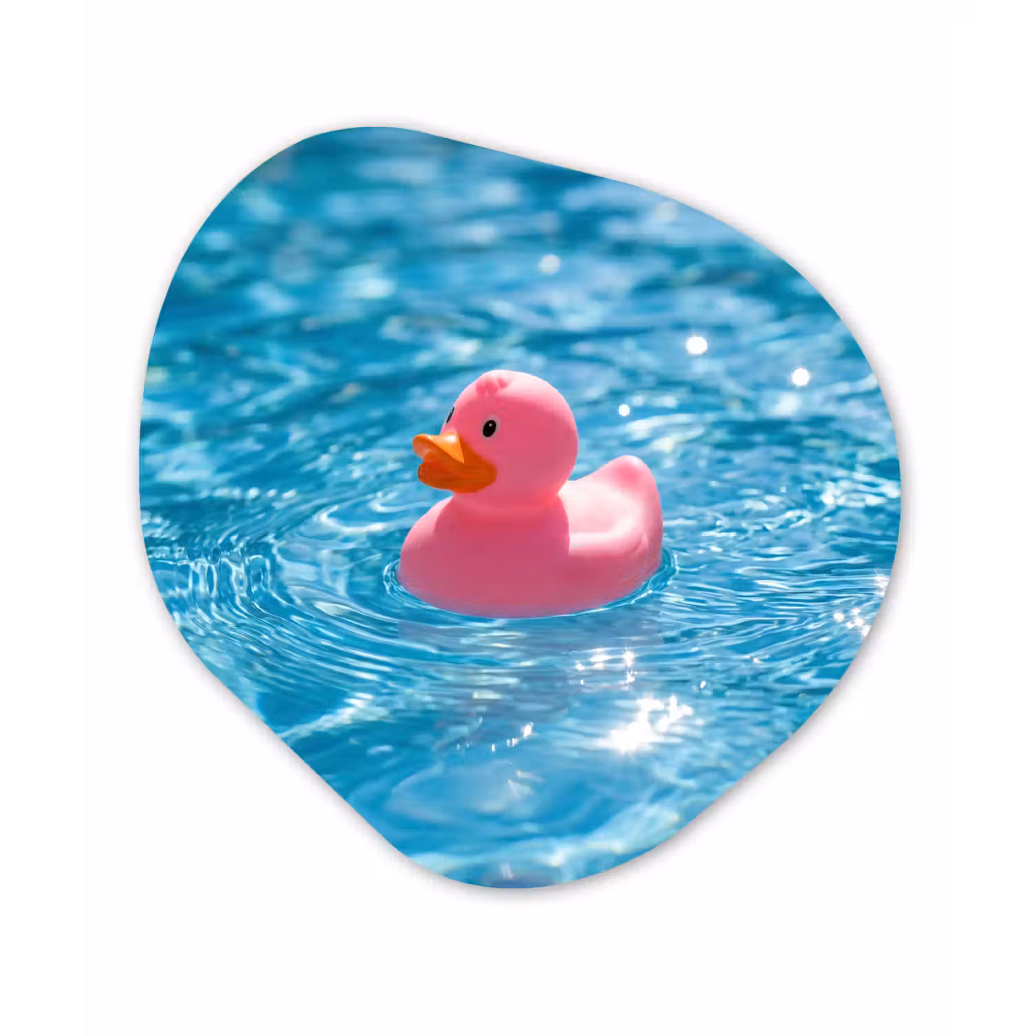 Badeend - Dobberend - Roze Wandcirkel Organisch Forex 3mm klein -3d