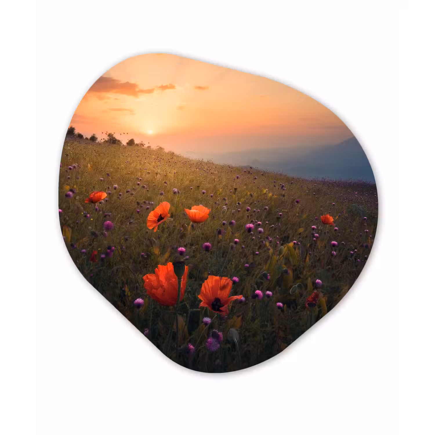 Bloemenveld - Gras - Bloemen - Planten - Zonsondergang - Oranje Wandcirkel Organisch Forex 3mm klein -3d
