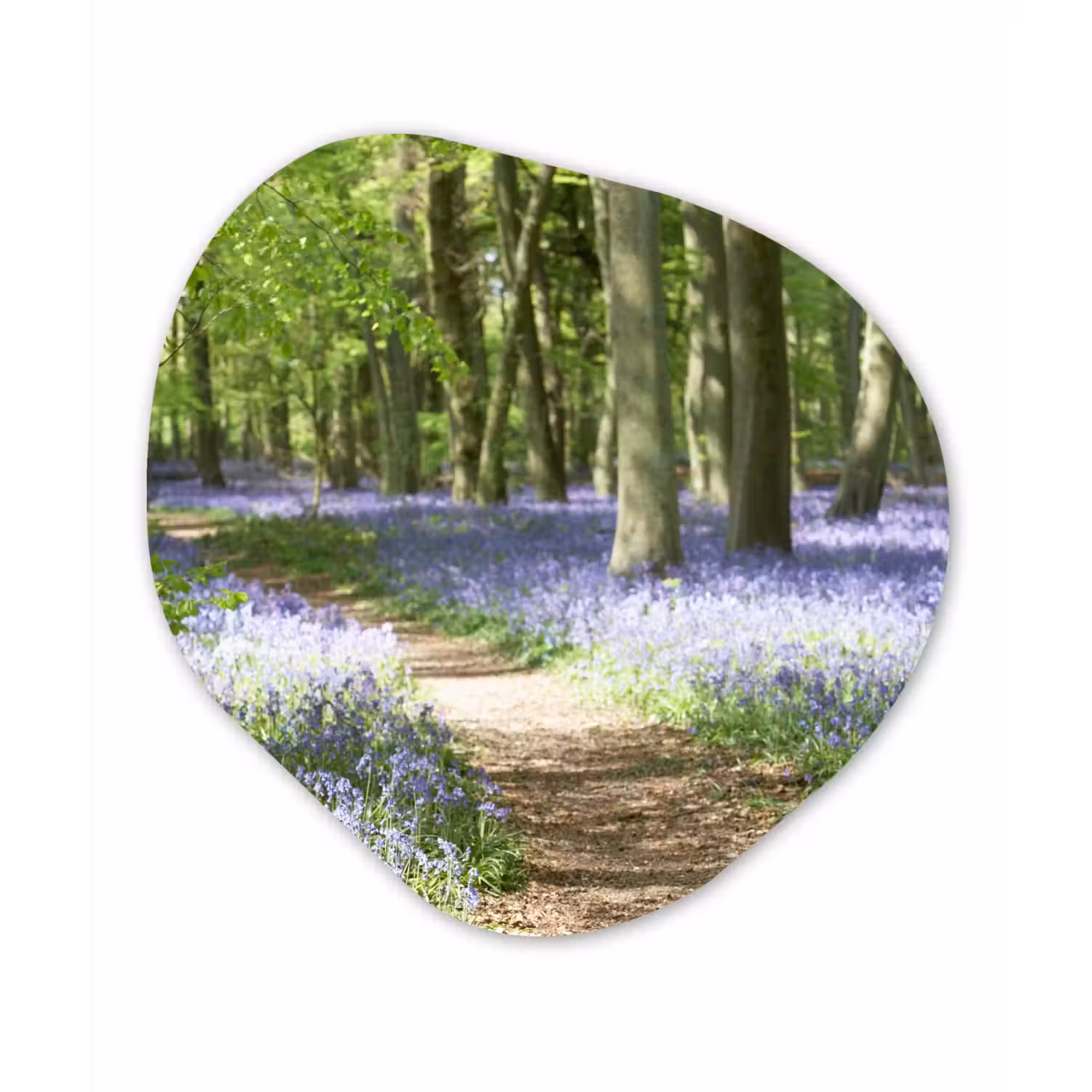 Bos - Pad - Bloemen - Paars - Groen - Natuur Wandcirkel Organisch Forex 3mm klein -3d