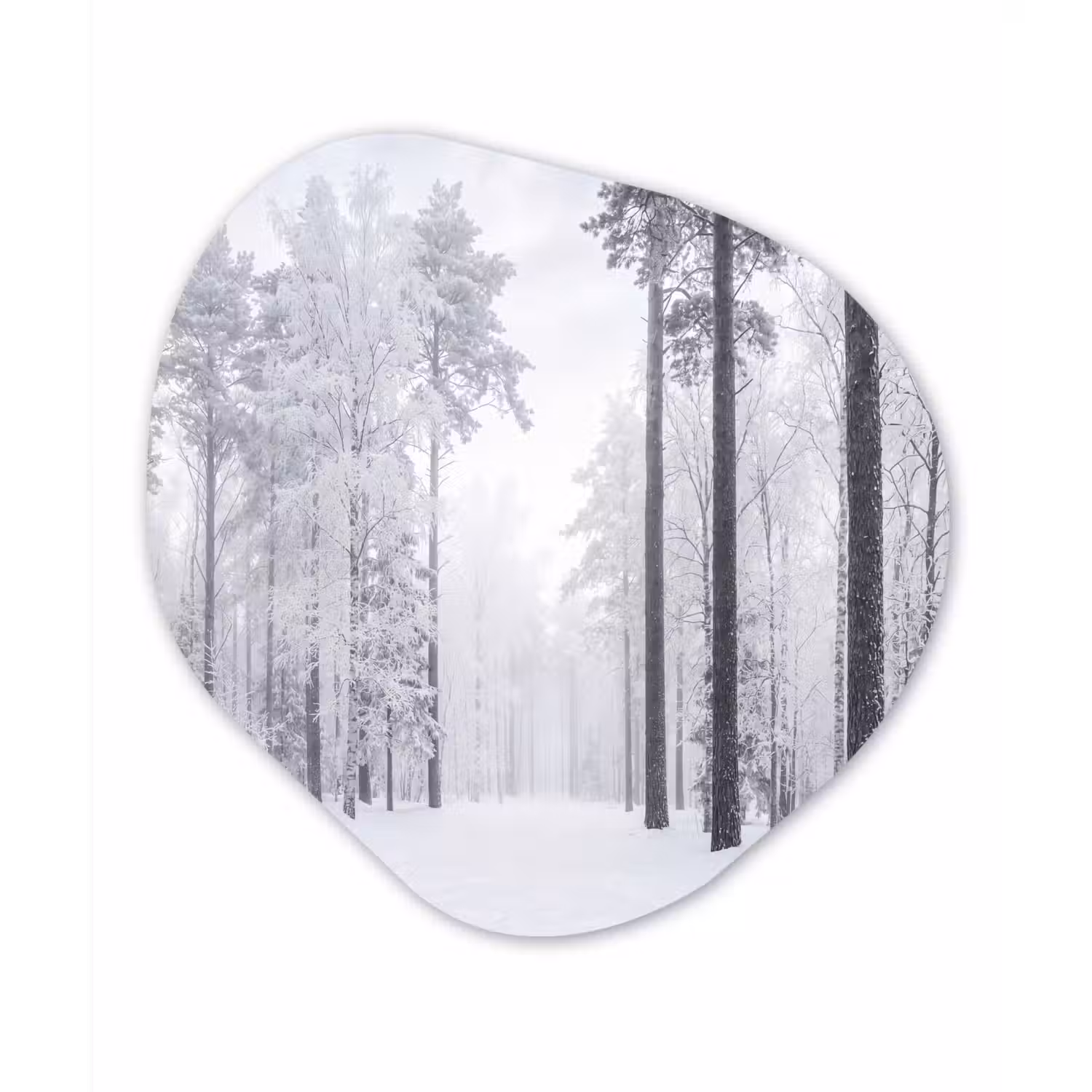 Bos - Sneeuw - Pad - Winter - Stilte Wandcirkel Organisch Forex 3mm klein -3d