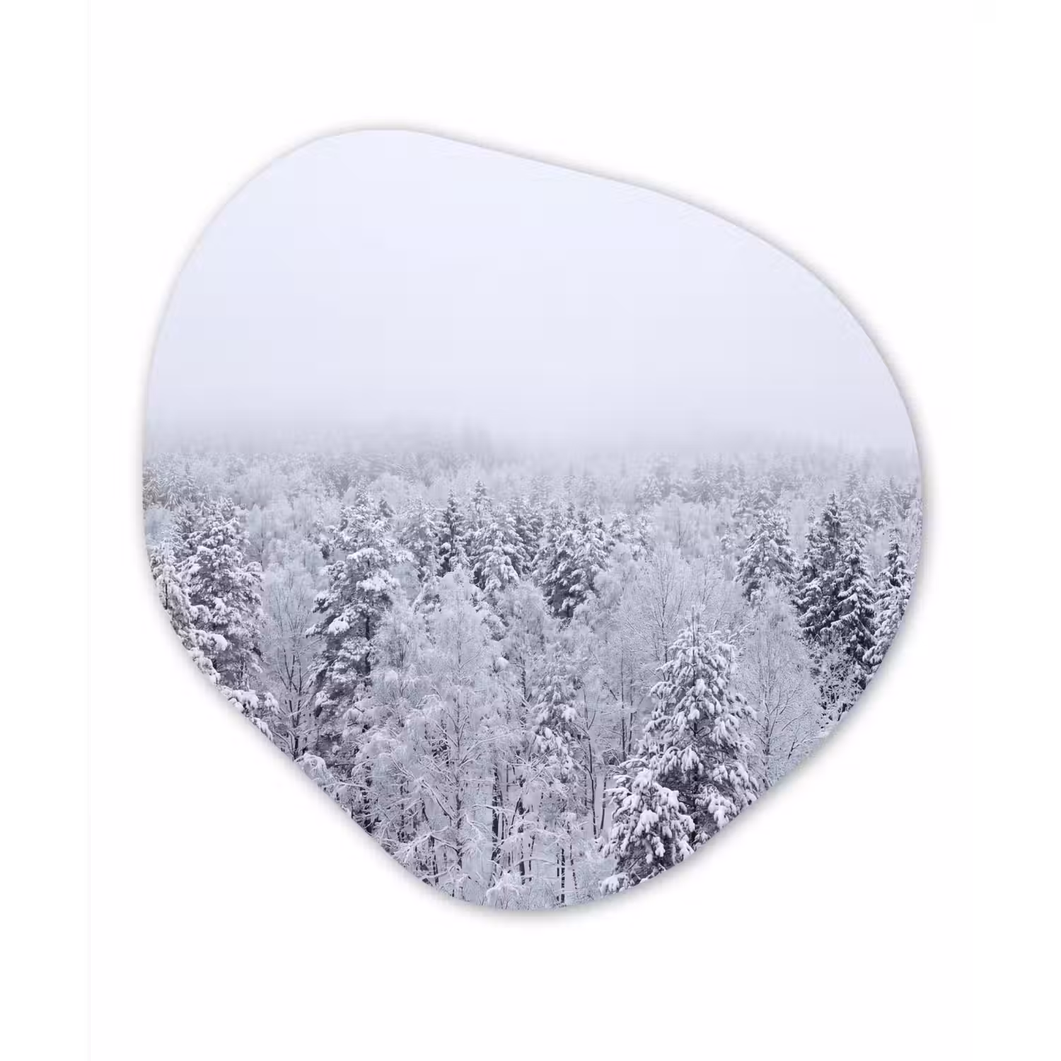 Bos - Sneeuw - Winter - Natuur - Wit Wandcirkel Organisch Forex 3mm klein -3d