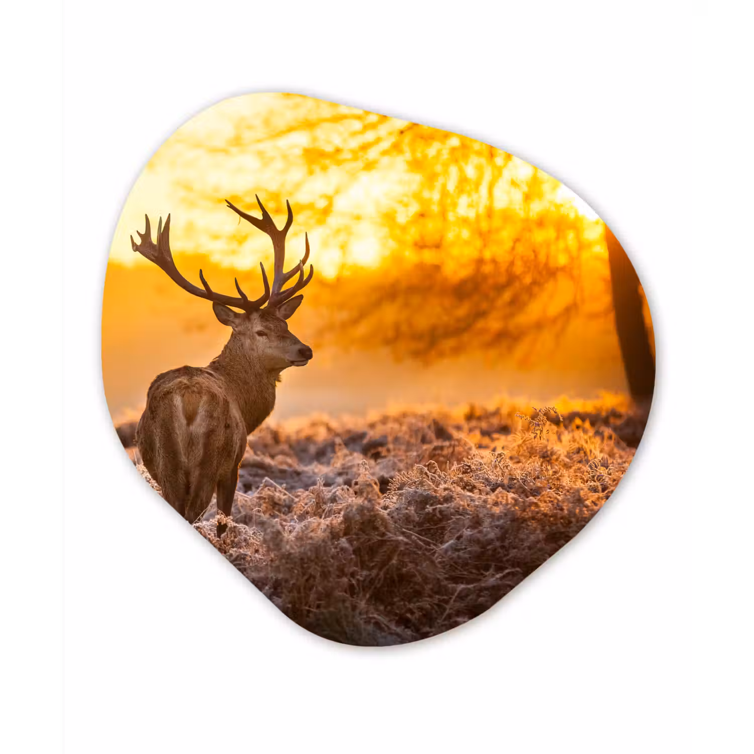 Hert - Dieren - Zonsondergang - Winter - Heide - Natuur Wandcirkel Organisch Forex 3mm klein -3d