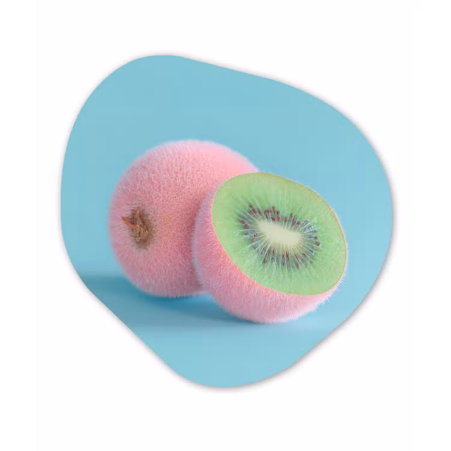 Kiwi - Blauw - Surrealistisch Wandcirkel Organisch Forex 3mm klein -3d