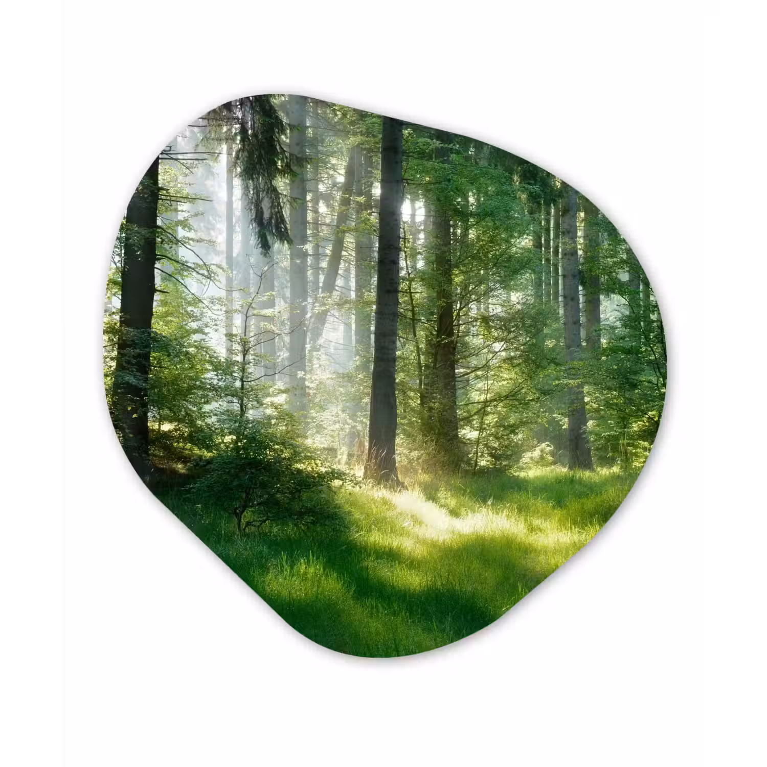 Natuur - Bomen - Bos - Groen - Zon - Gras - Planten Wandcirkel Organisch Forex 3mm klein -3d