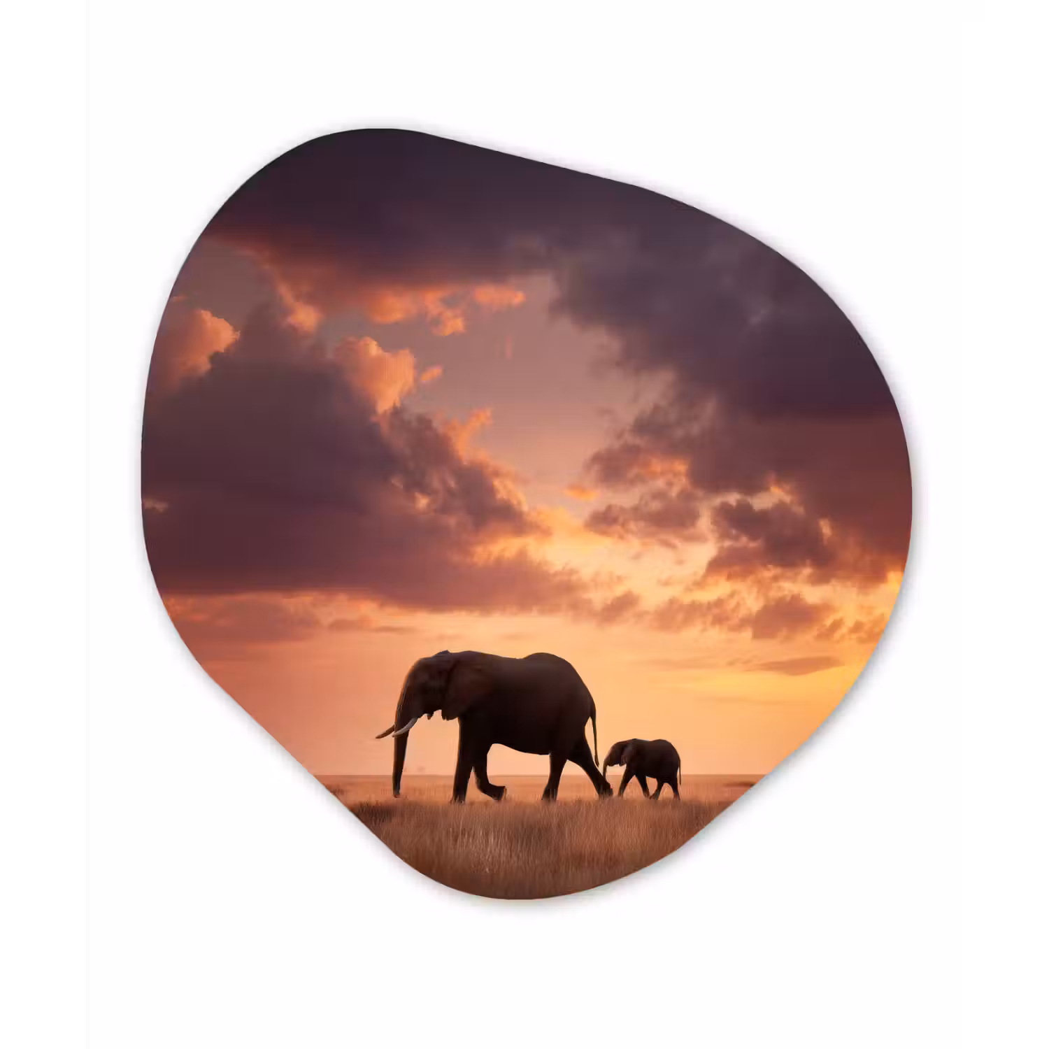 Olifanten - Grasland - Zonsondergang Wandcirkel Organisch Forex 3mm klein -3d