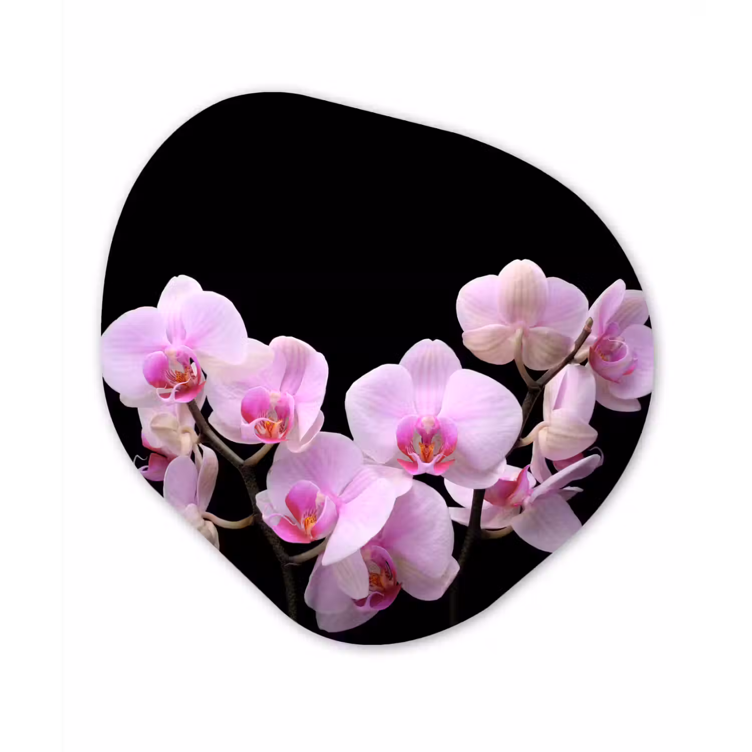 Orchidee - Bloemen - Roze - Flora Wandcirkel Organisch Forex 3mm klein -3d