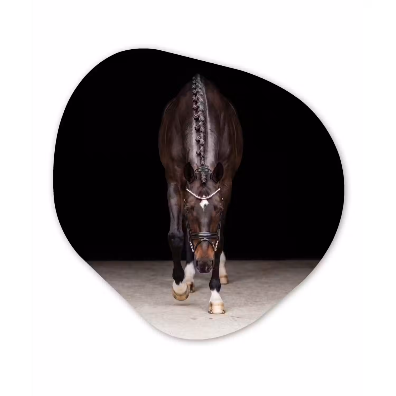 Paard - Modern - Portret Wandcirkel Organisch Forex 3mm klein -3d
