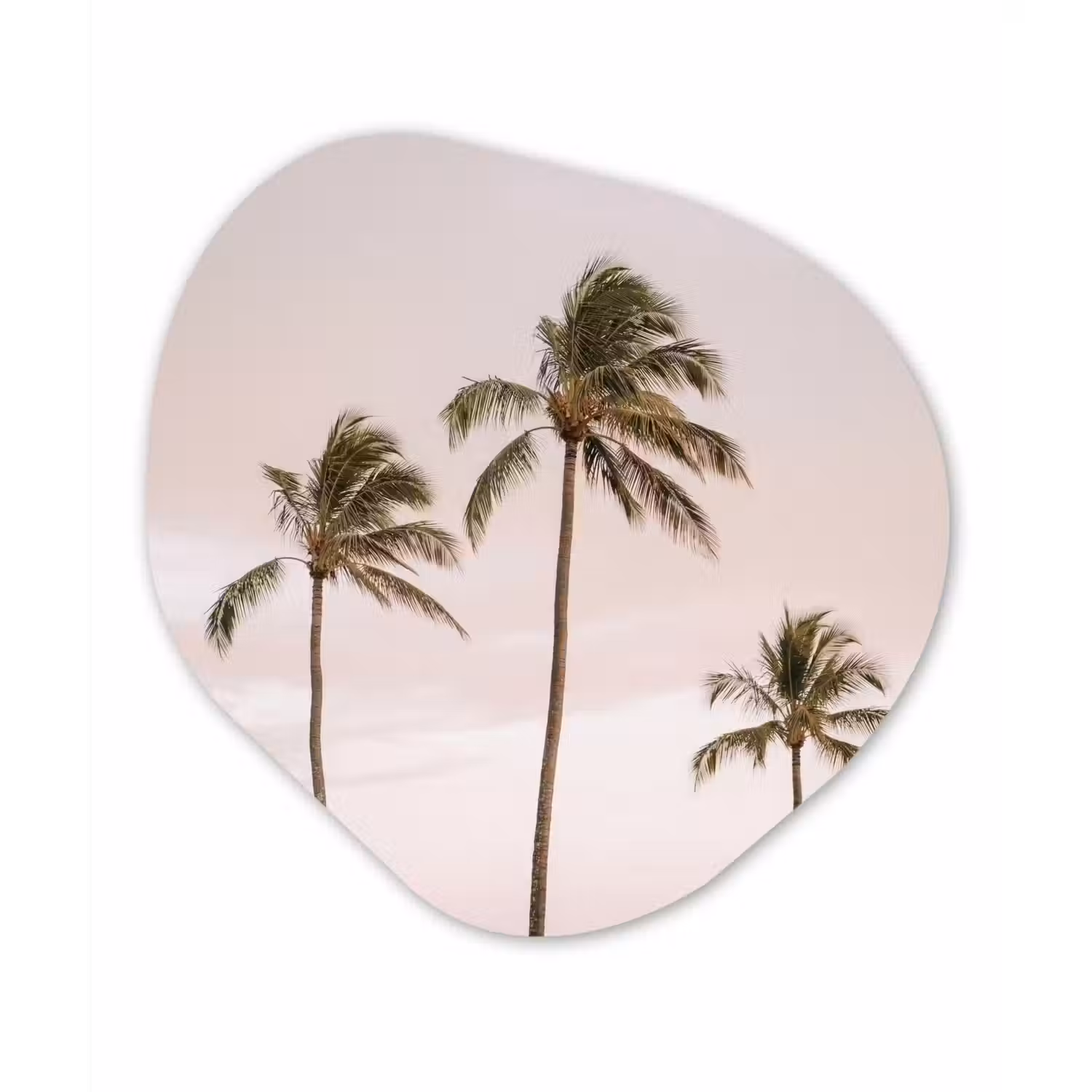 Palmbomen - Zonsondergang - Roze Wandcirkel Organisch Forex 3mm klein -3d