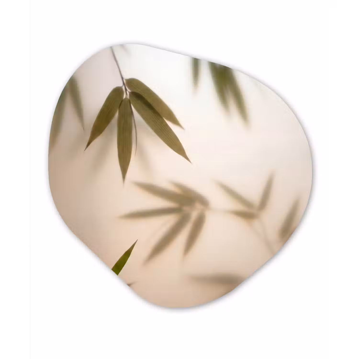 Planten - Bladeren - Natuur - Groen Wandcirkel Organisch Forex 3mm klein -3d