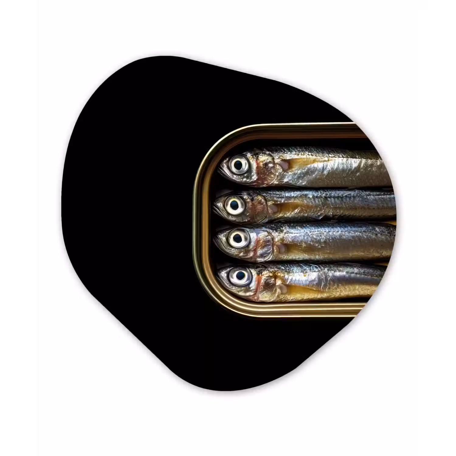 Sardines - Blik - Zwart - Vissen Wandcirkel Organisch Forex 3mm klein -3d