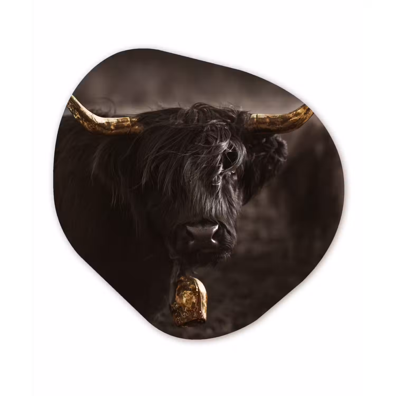 Schotse hooglander - Goud - Koebel - Hoorns - Dieren Wandcirkel Organisch Forex 3mm klein -3d