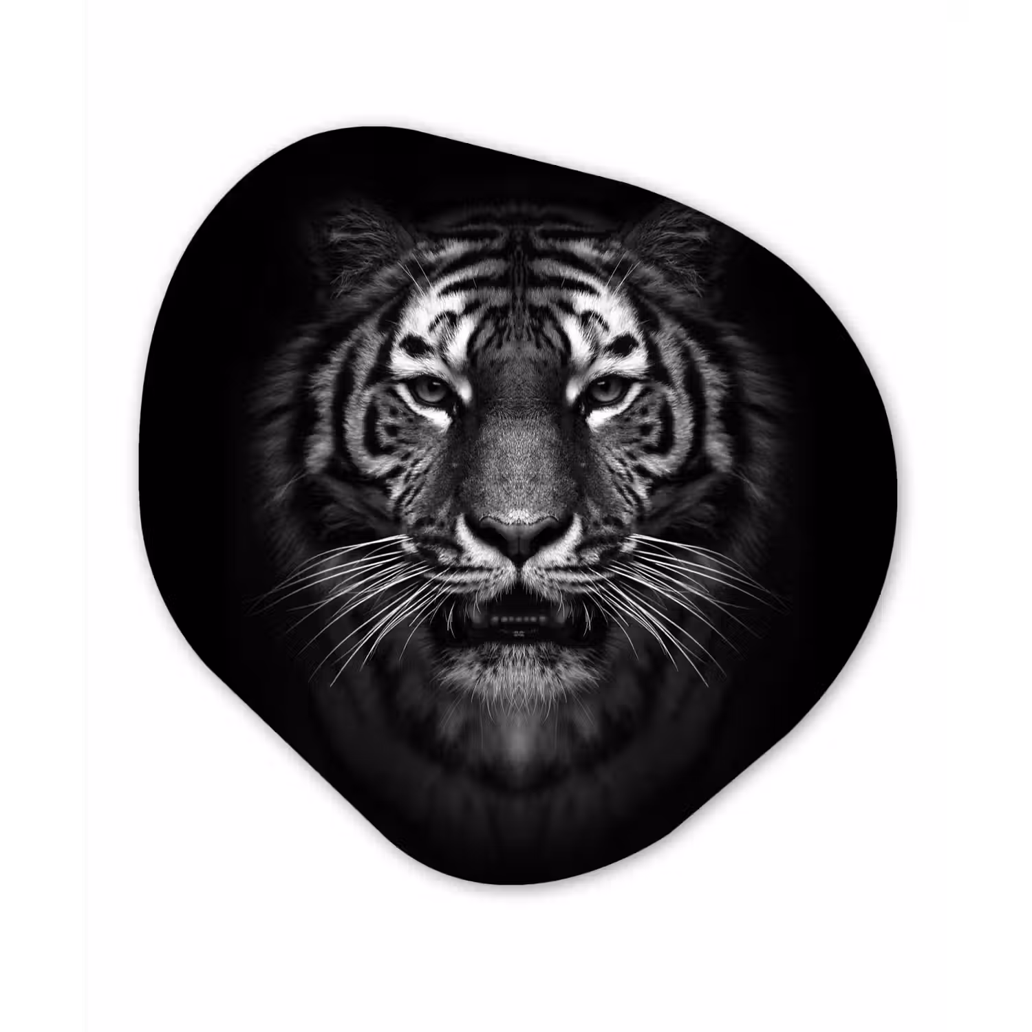 Tijger - Dieren - Zwart - Wit - Portret - Wild Wandcirkel Organisch Forex 3mm klein -3d