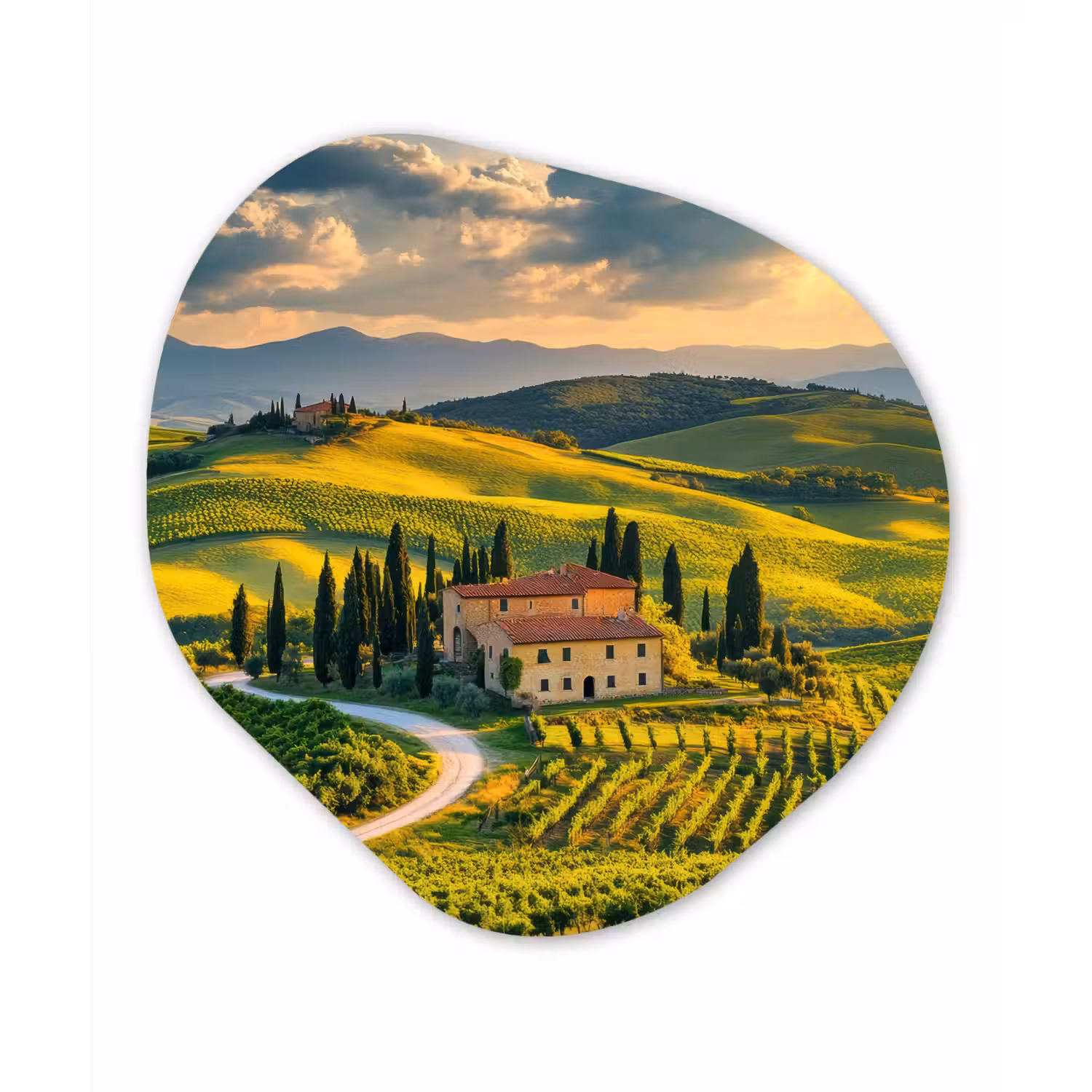 Toscane - Landschap - Wijngaarden Wandcirkel Organisch Forex 3mm klein -3d
