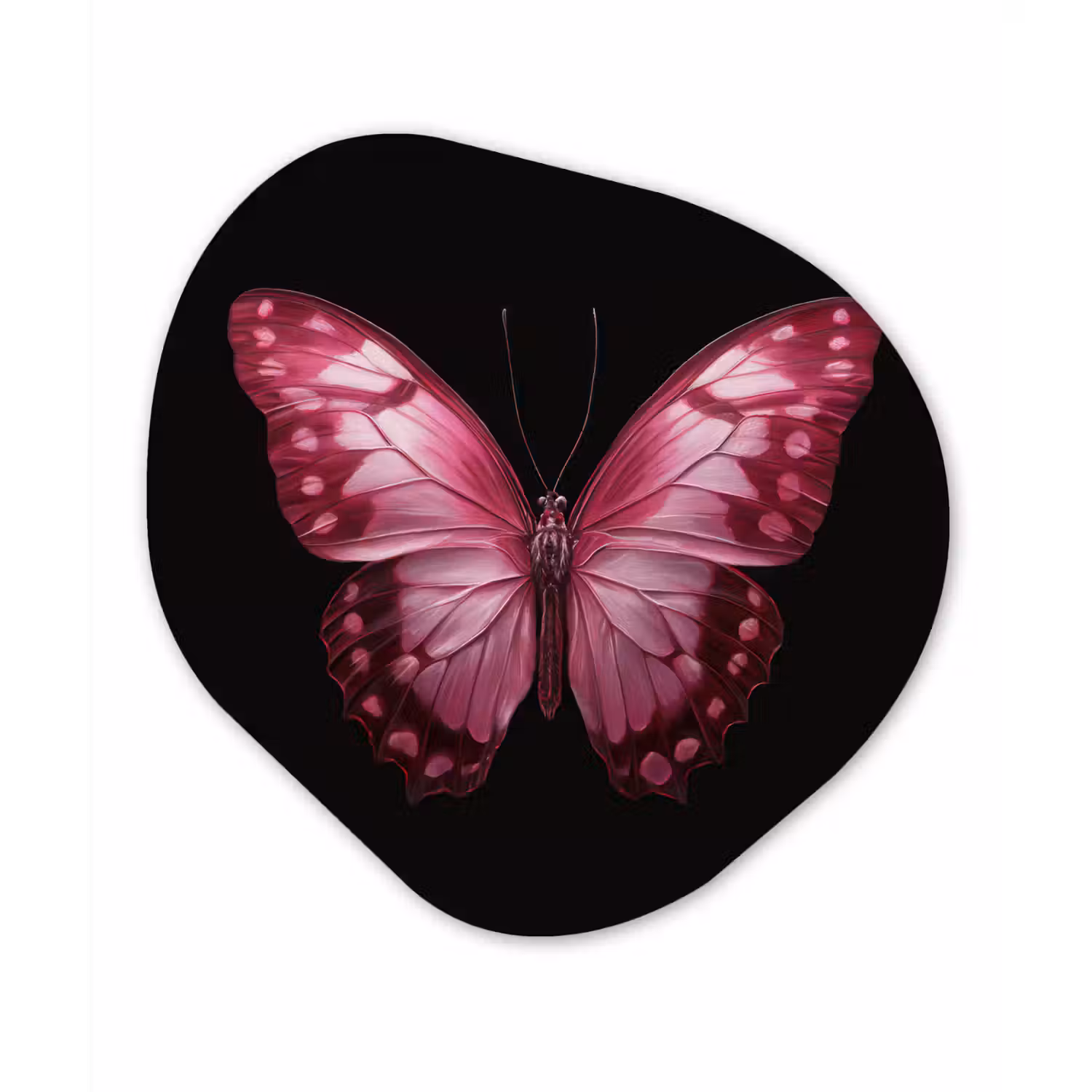 Vlinder - Fuchsia - Grafisch Wandcirkel Organisch Forex 3mm klein -3d
