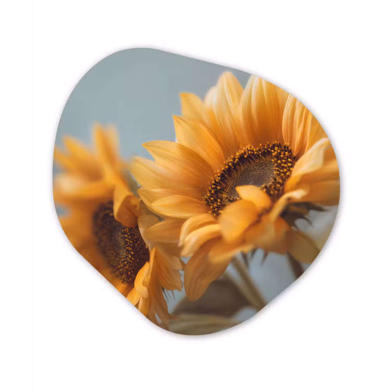 Zonnebloemen - Geel - Wazig Wandcirkel Organisch Forex 3mm klein -3d
