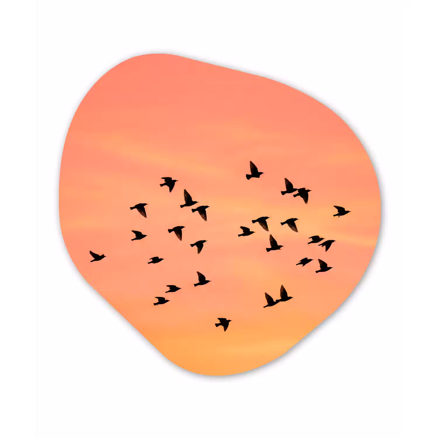 Zwerm - Vogels - Oranje Wandcirkel Organisch Forex 3mm klein -3d