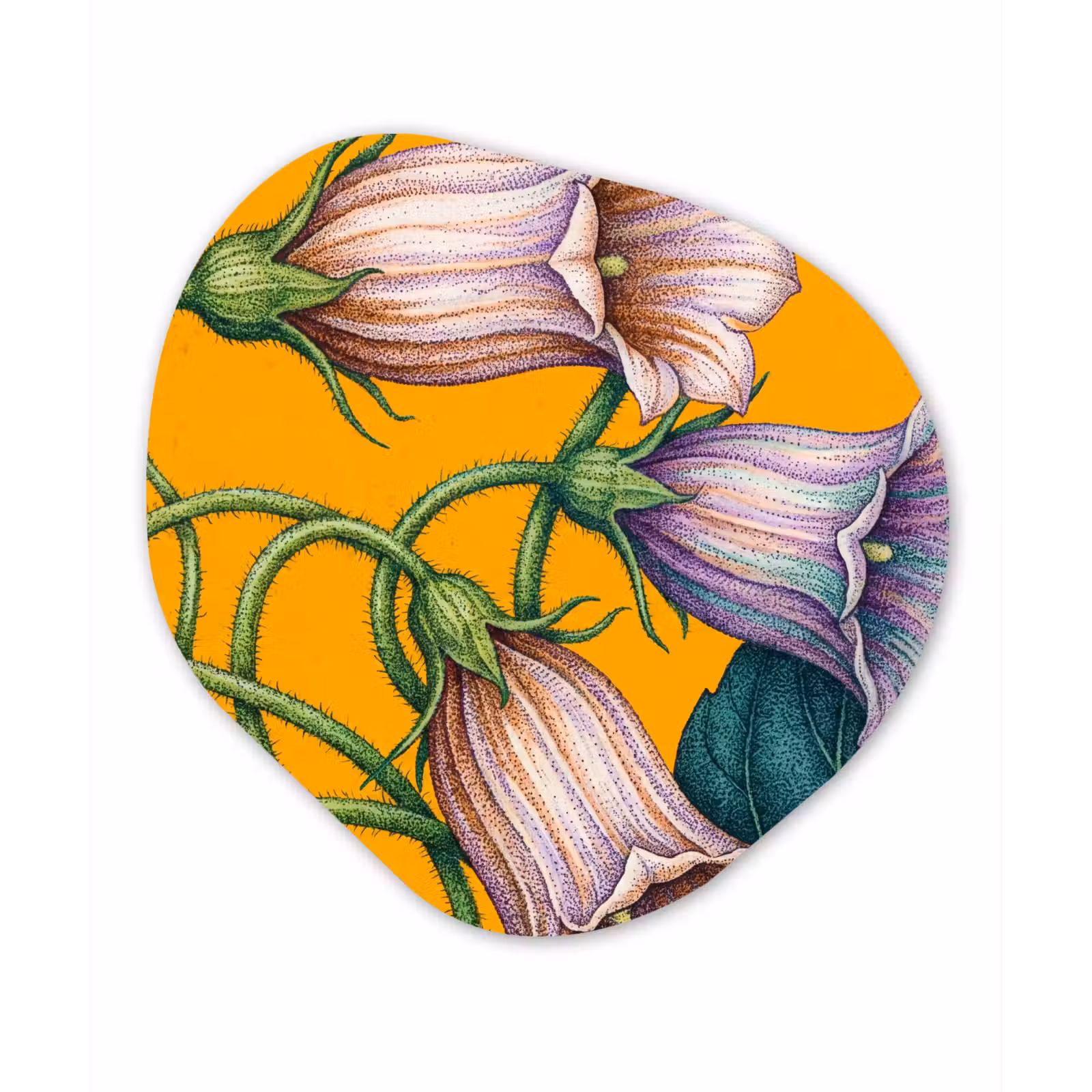 Organisch schilderij glas - Bloemen - Botanisch - Geel - Bloemen - Botanisch - Geel Wandcirkel Organisch Plexiglas middel