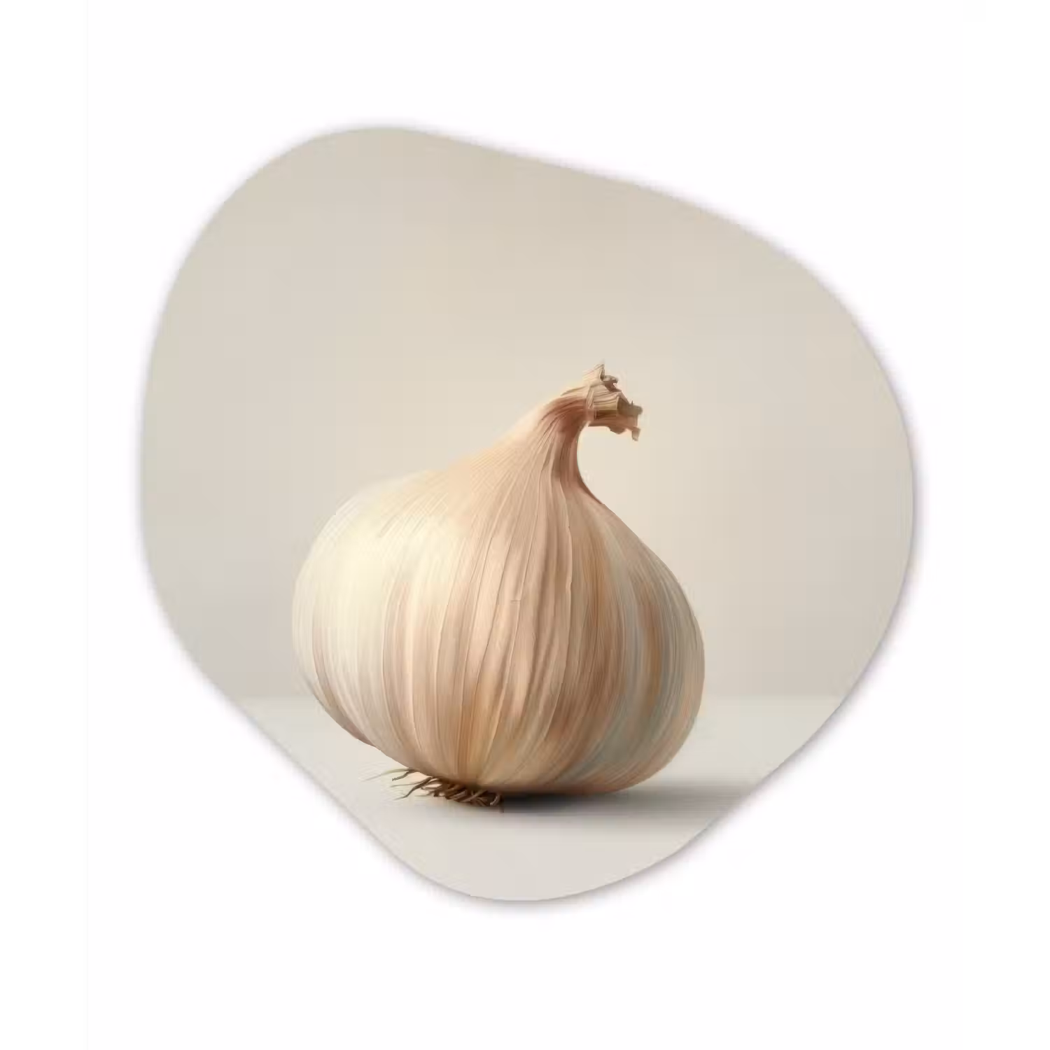 Knoflook - Natuurlijk - Beige Wandcirkel Organisch Plexiglas middel -3d