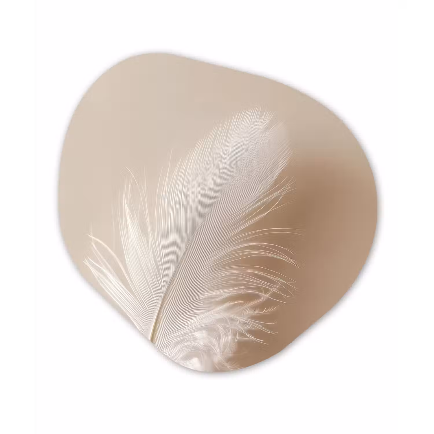 Veer - Minimalistisch - Roze Wandcirkel Organisch Plexiglas middel -3d