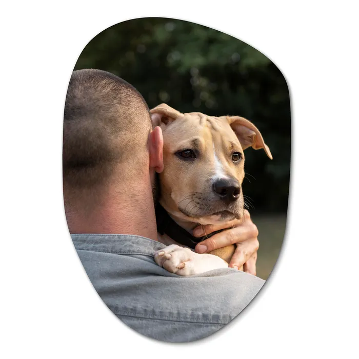 af9bfd7e-6799-4e53-ab18-5fcaad509b67.png