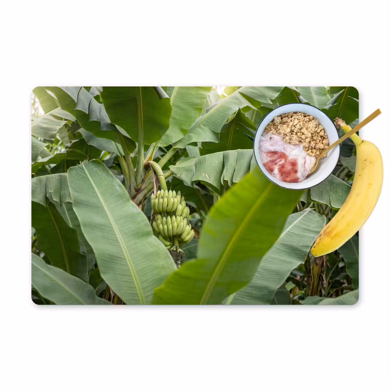 Eten - Bananen - Plantage - Groen Placemat vinyl groot -zzzproduct_Kitchenyeah-website