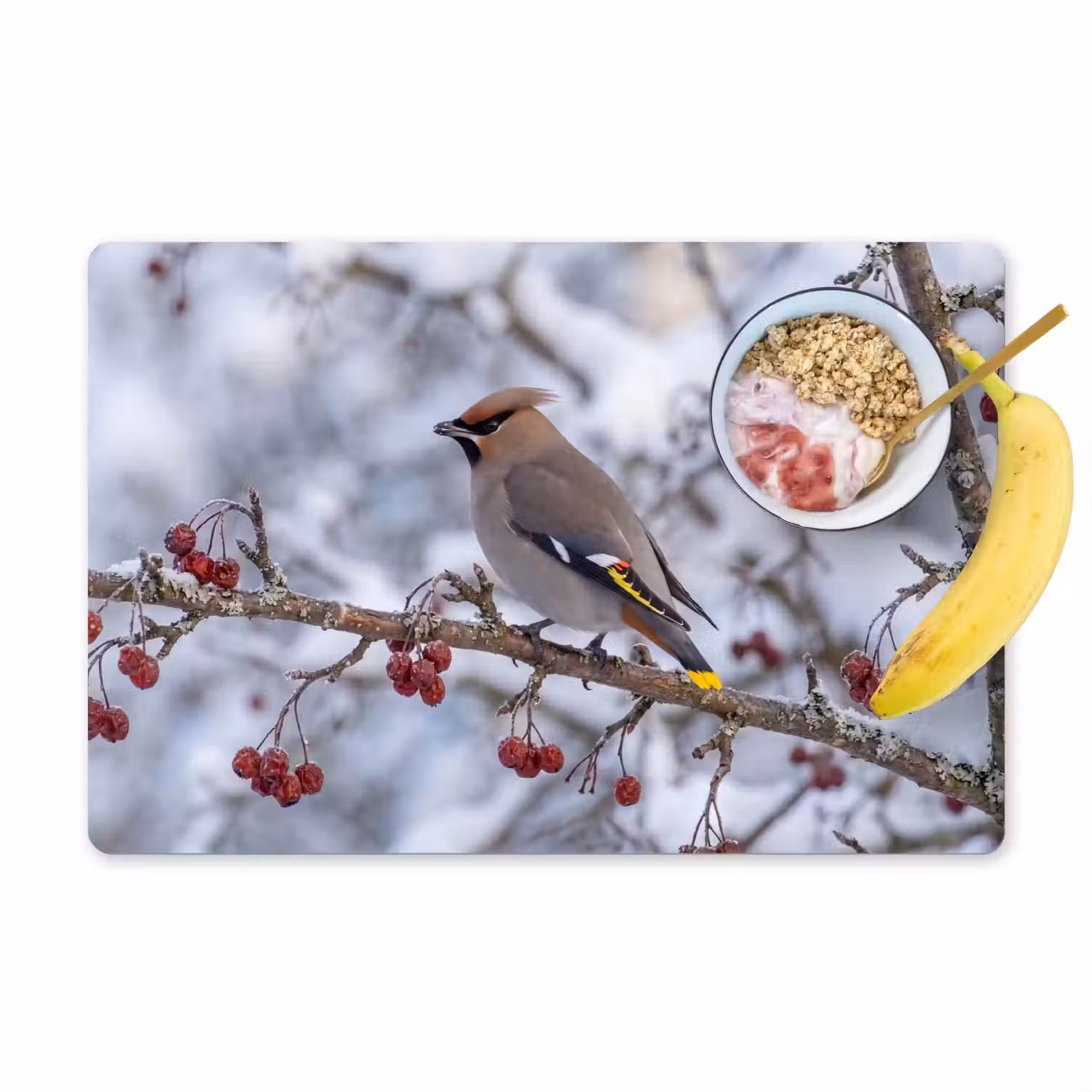 Pestvogel - Bessen - Winter - Natuur Placemat vinyl groot -zzzproduct_Kitchenyeah-website