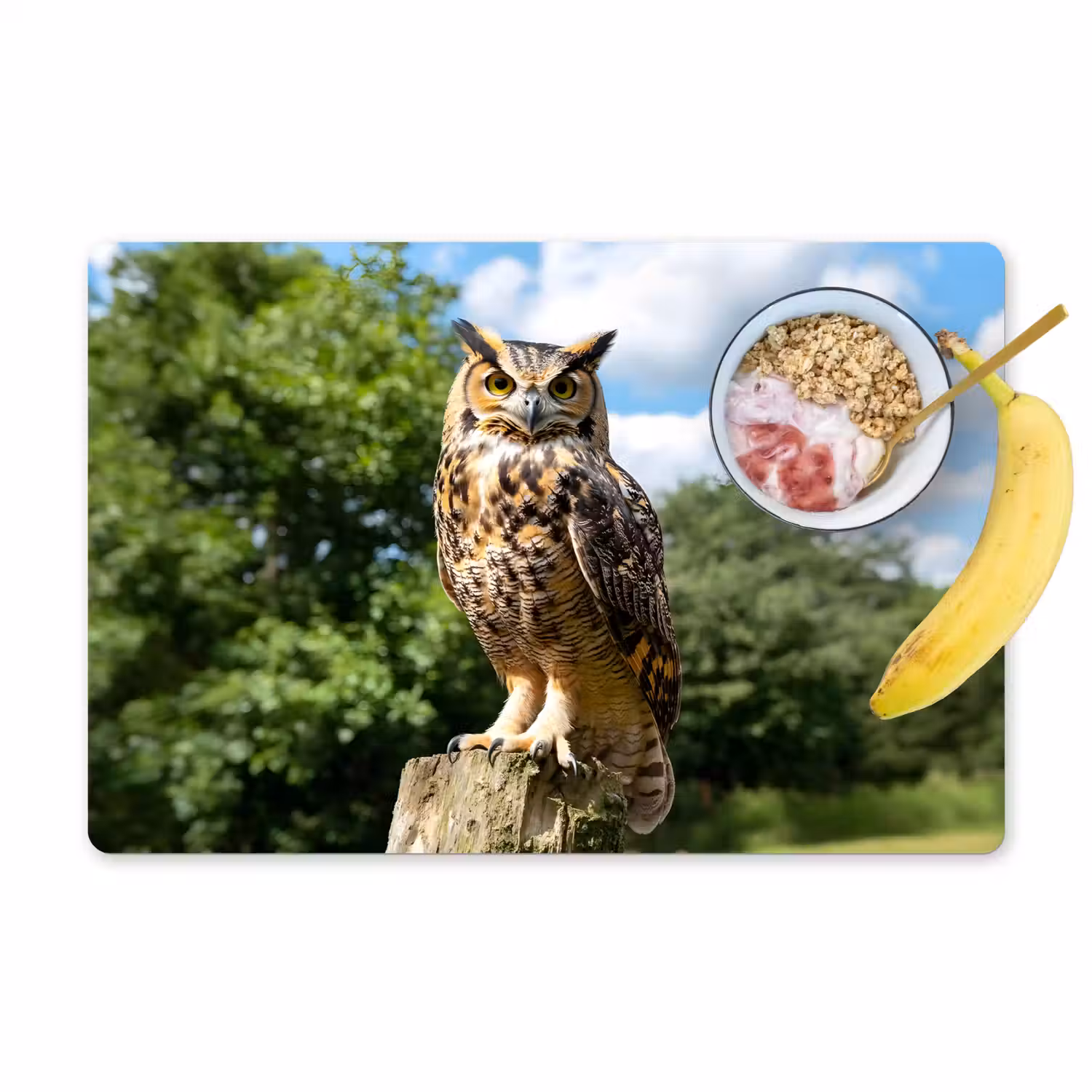Uil - Boomstronk - Bos - Lucht Placemat vinyl groot -zzzproduct_Kitchenyeah-website