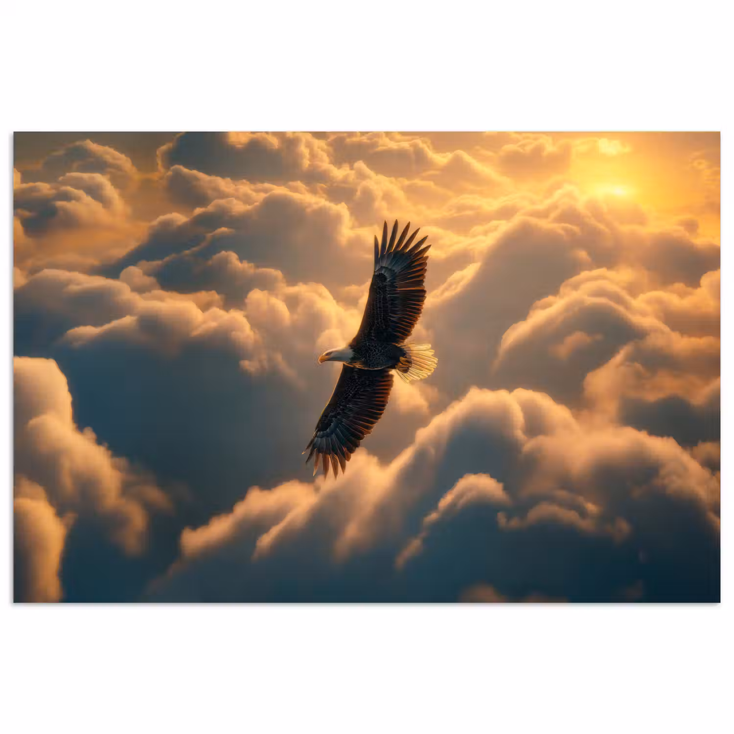 Adelaar - Wolken - Zon poster papier klein -3d