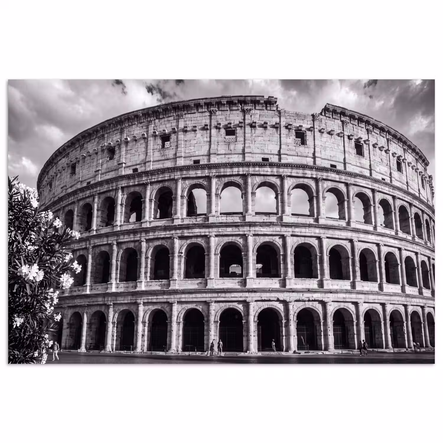 Architectuur - Colosseum - Rome - Historisch - Zwart-wit poster papier klein -3d