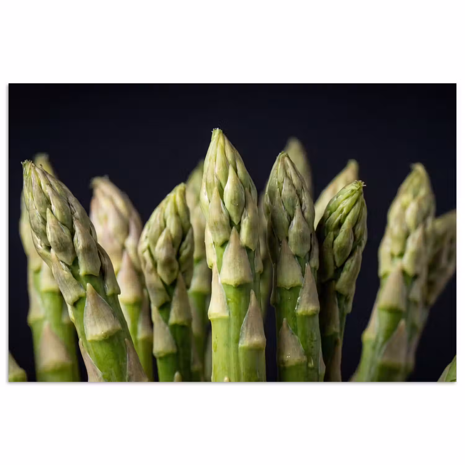 Asperges - Groen - Zwart poster papier klein -3d