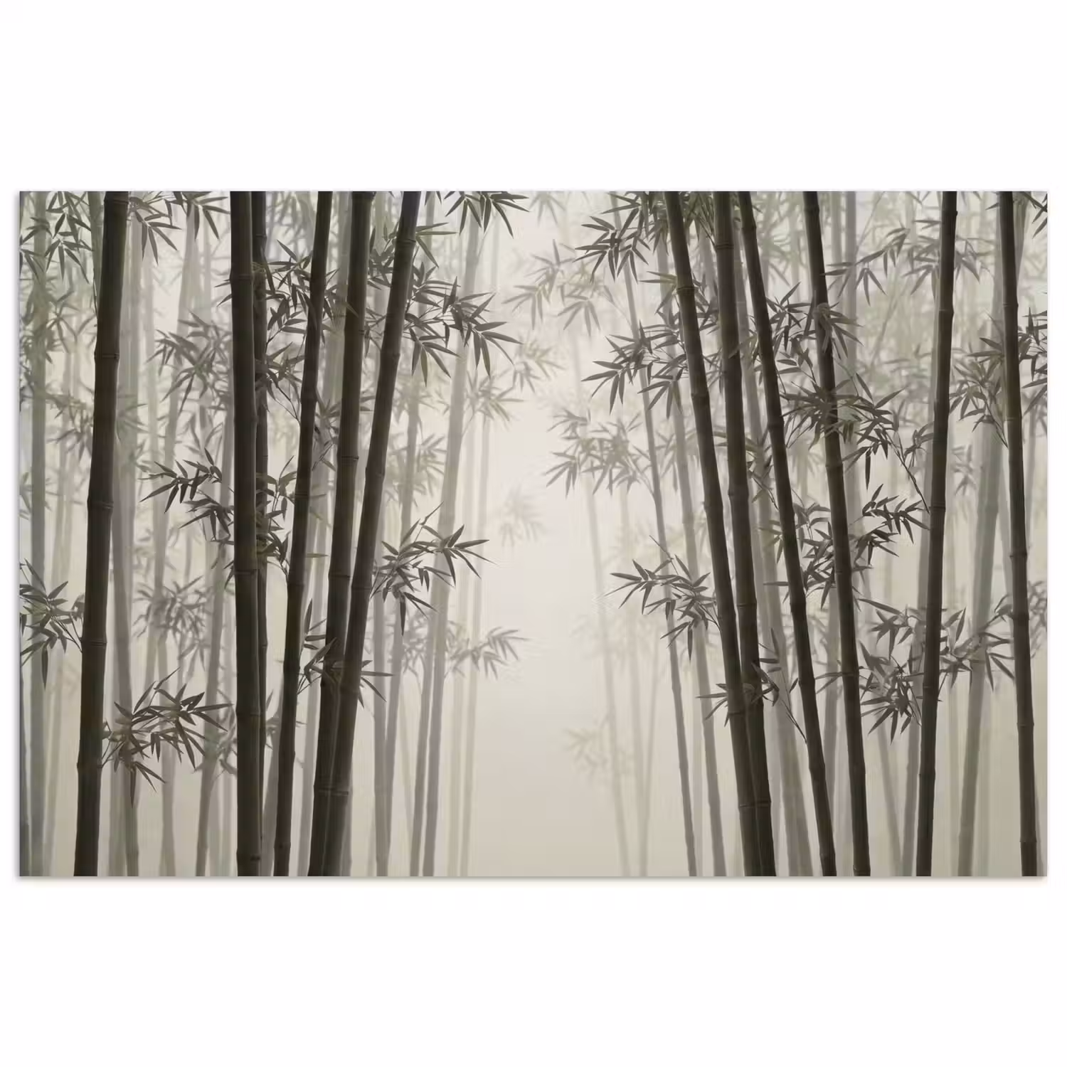 Bamboe - Bos - Mist - Natuur poster papier klein -3d