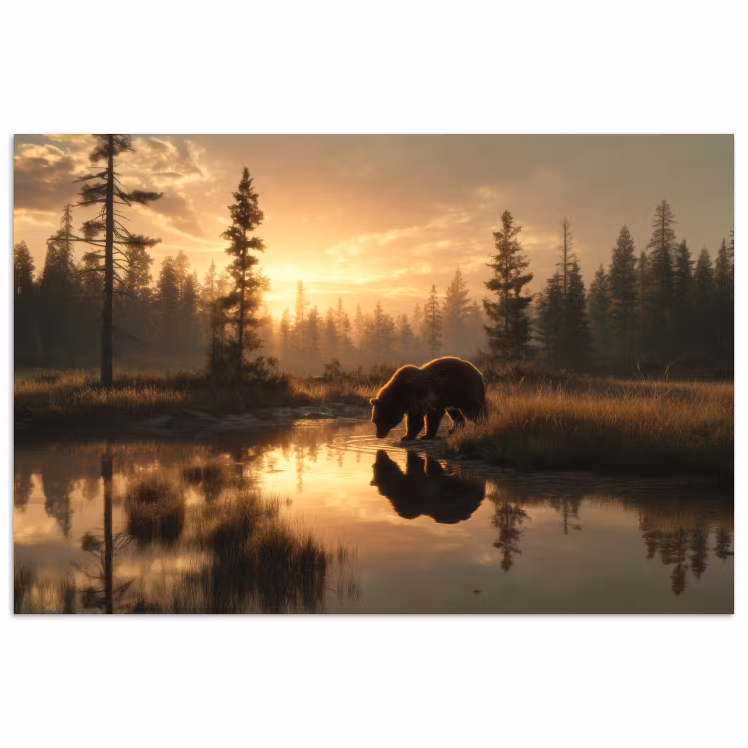 Beer - water - Bos - Ochtendlicht poster papier klein -3d